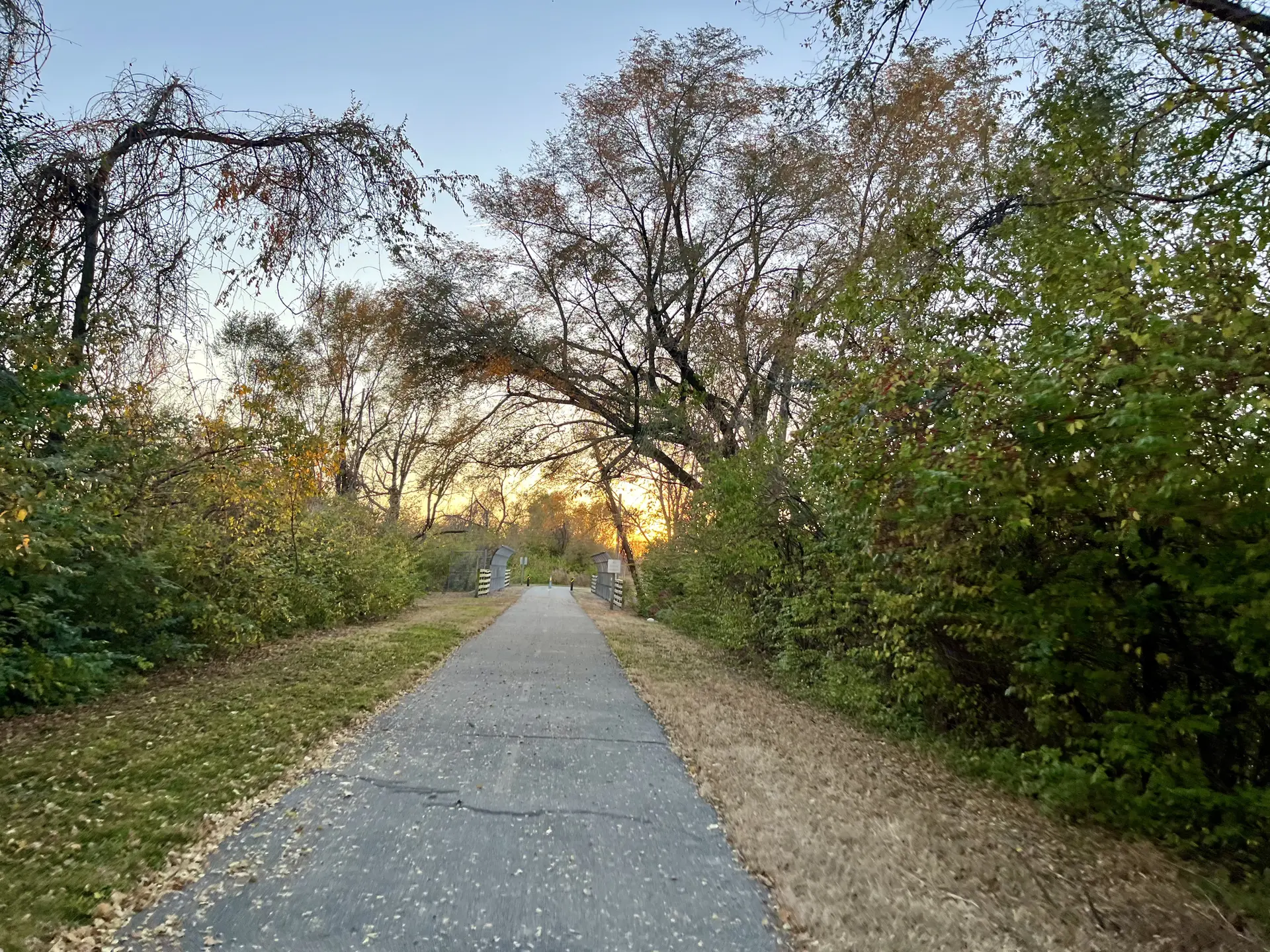 Paved path winding through trees with a sunset glow in the distance.