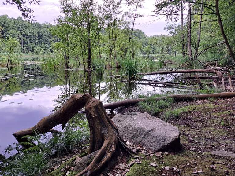 parks with bike tracks near me