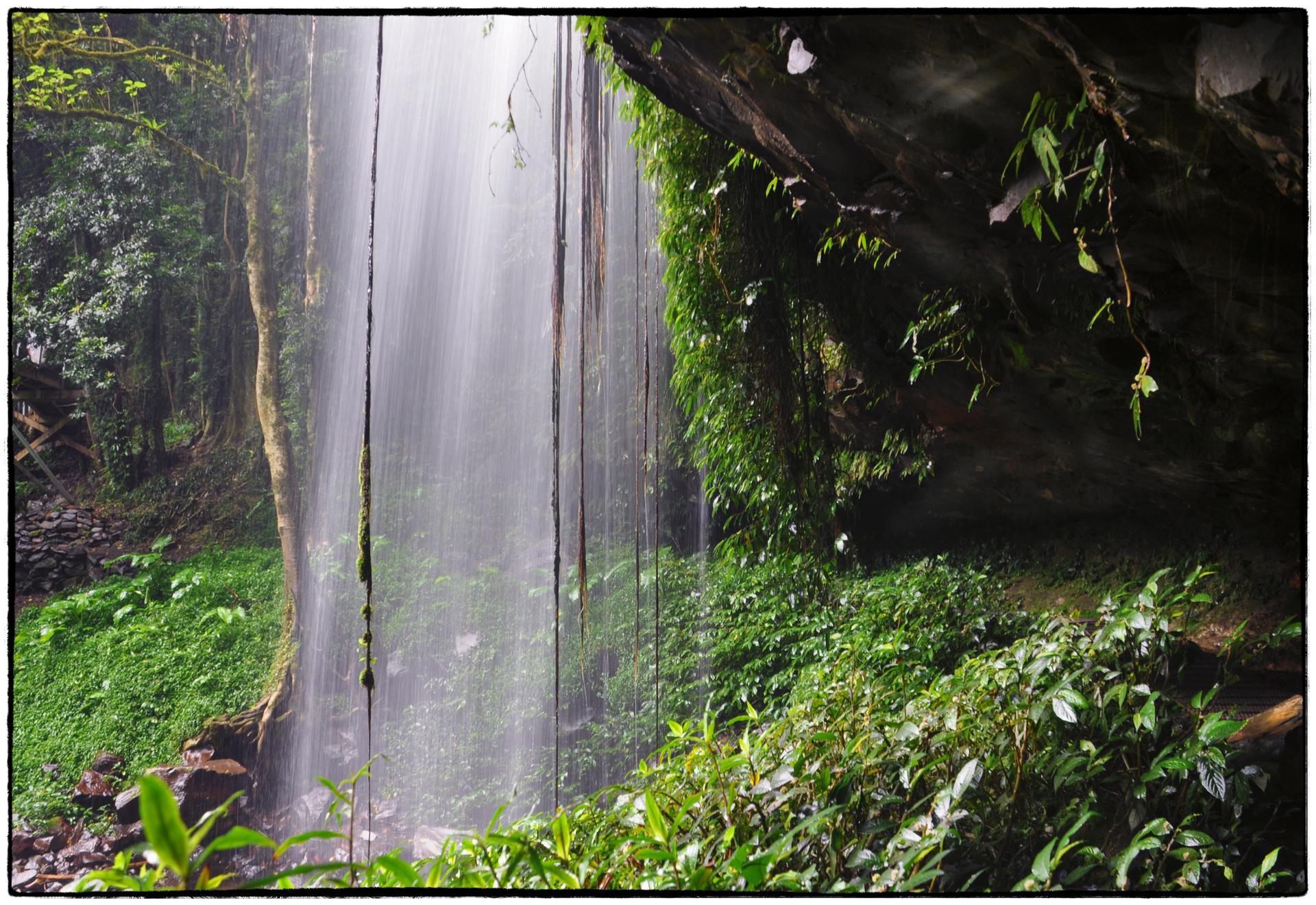 Bright waterfall cascades over a dark rock face amidst lush green jungle foliage.