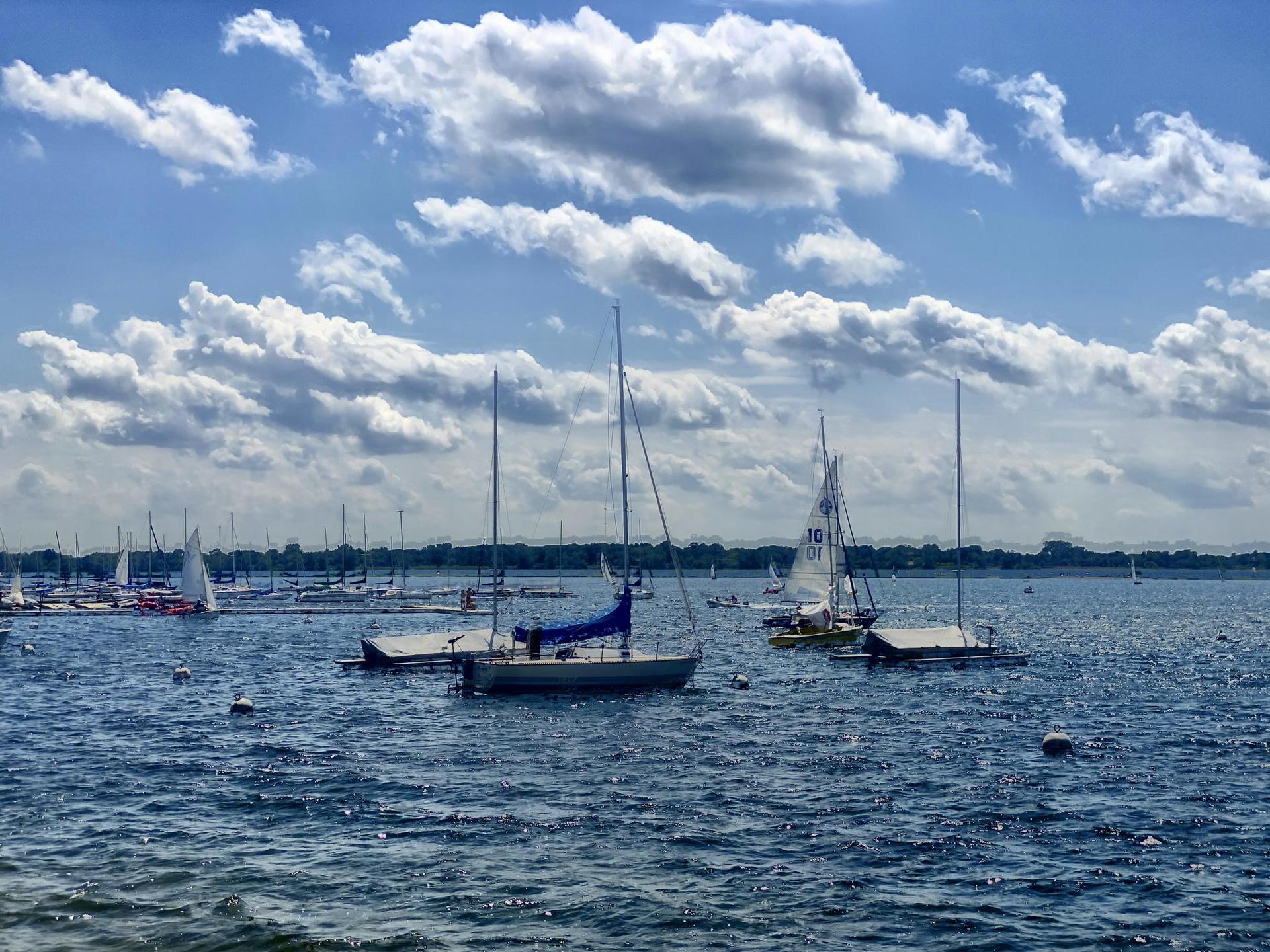 Several sailboats on a lake under a bright, cloudy blue sky.