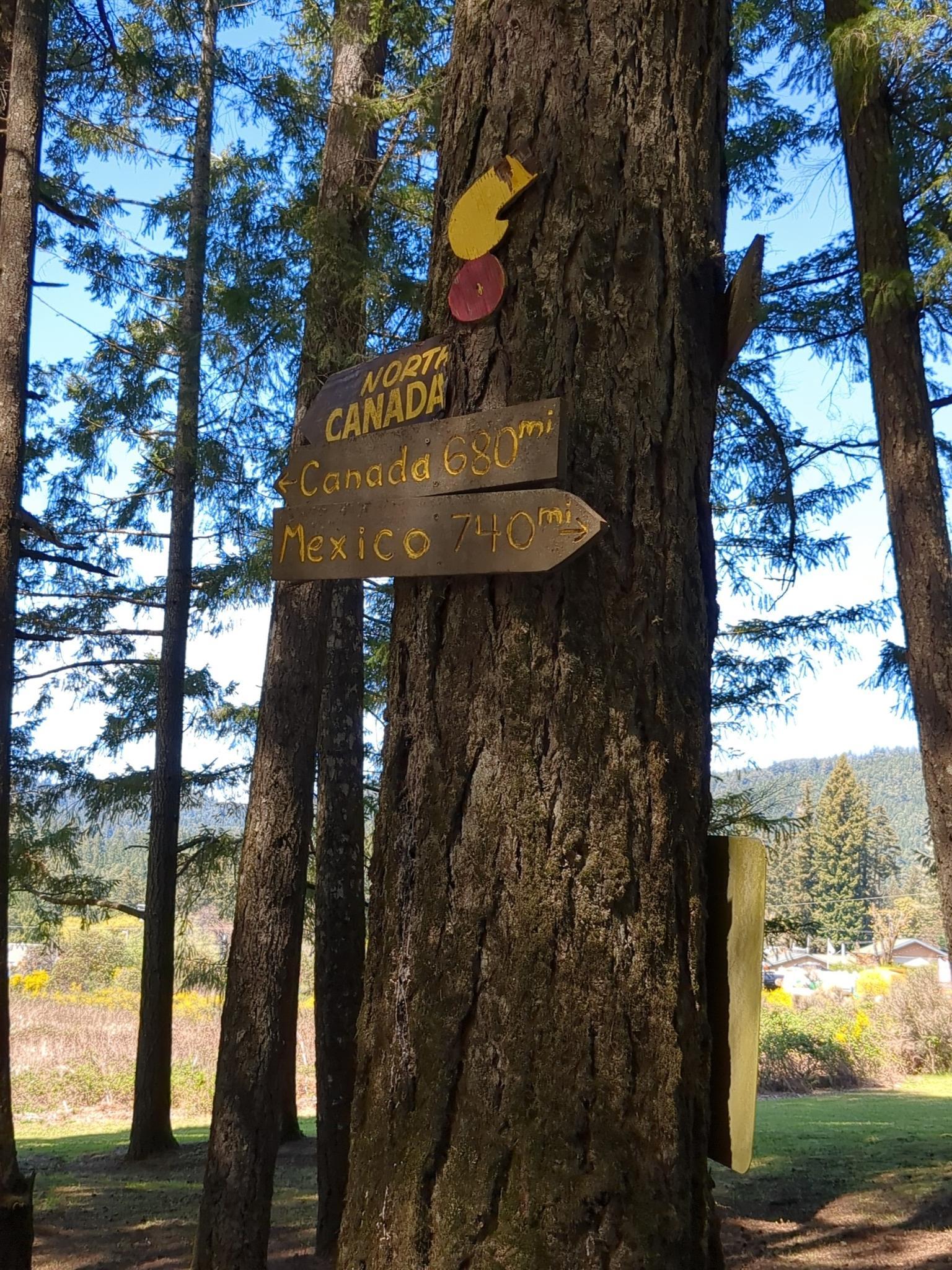 Wooden sign on a tree pointing to Canada and Mexico.