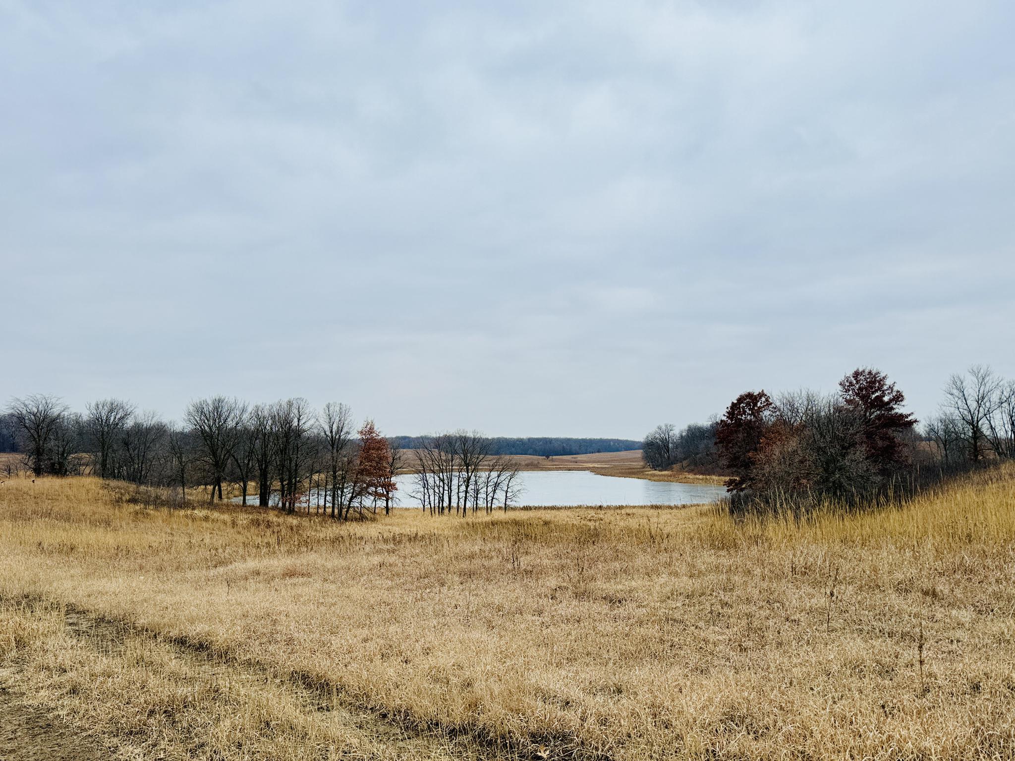 A calm lake surrounded by dry grass and bare trees under a cloudy sky.