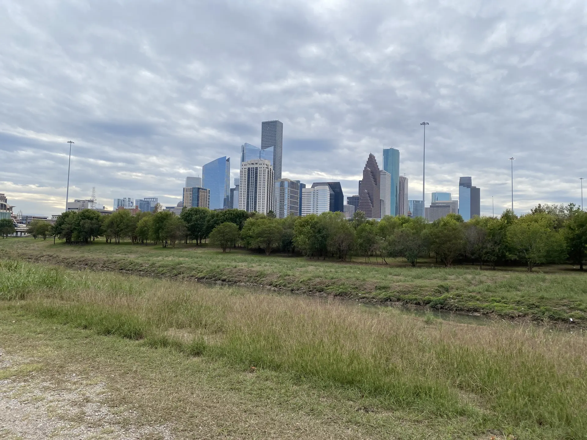 Distant city skyline behind green trees and a grassy field on a cloudy day.