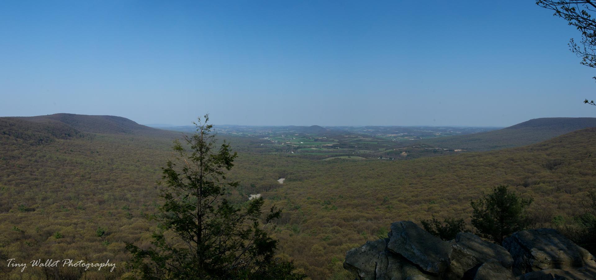 Panoramic view of a vast forested valley under a clear, bright blue sky.