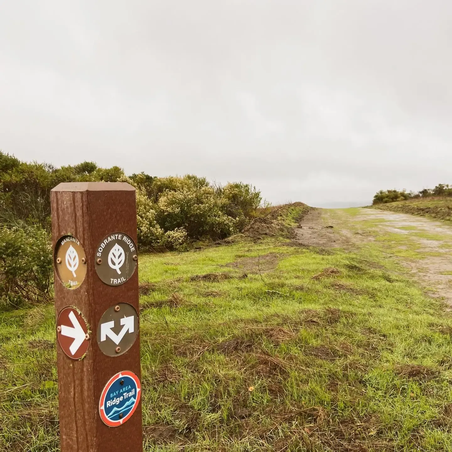 A wooden trail marker post stands beside a dirt path under an overcast sky. - Sobrante Ridge and Morningside Trail Loop