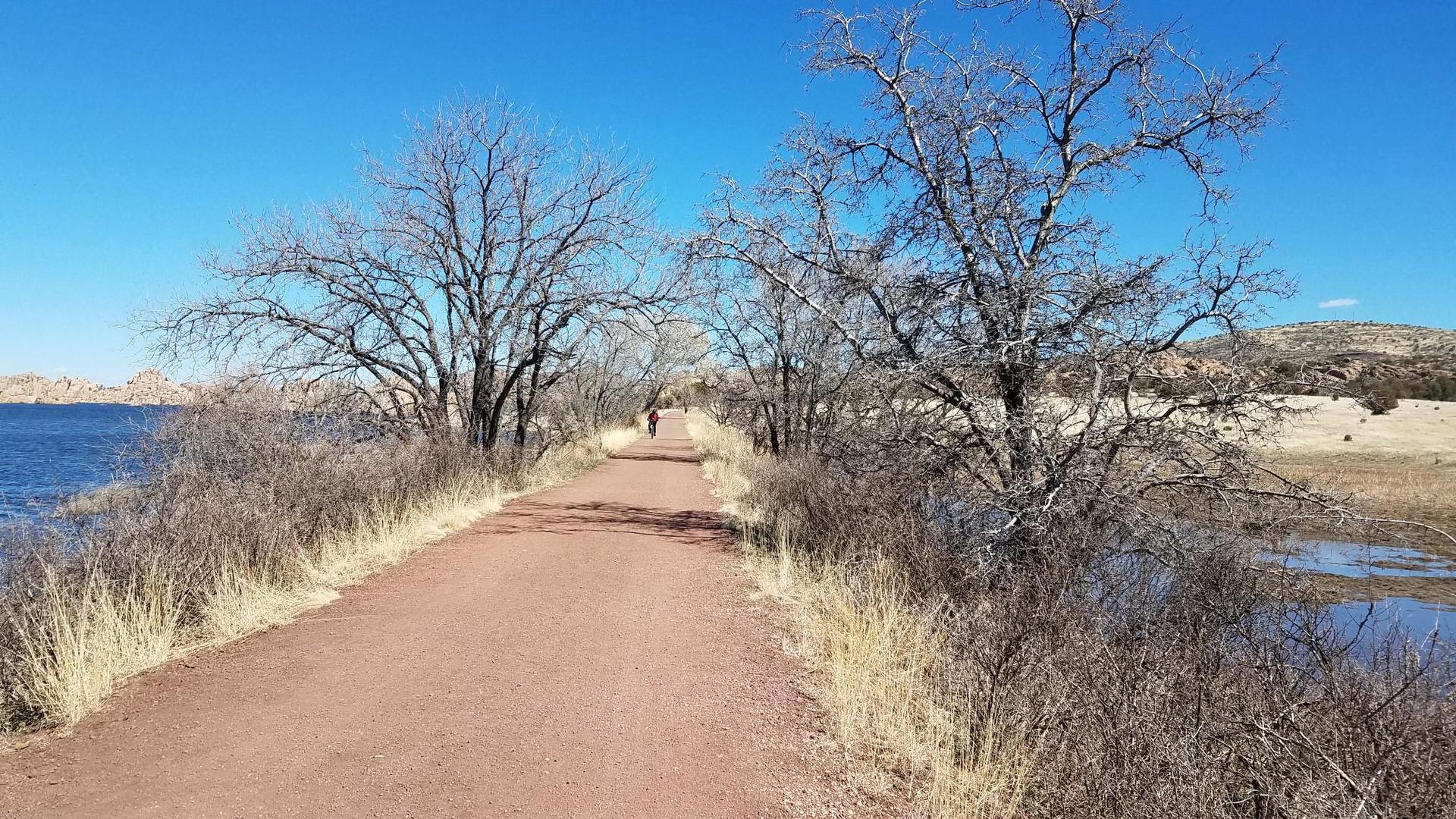 A person walks on a dirt path beside a lake with bare trees.