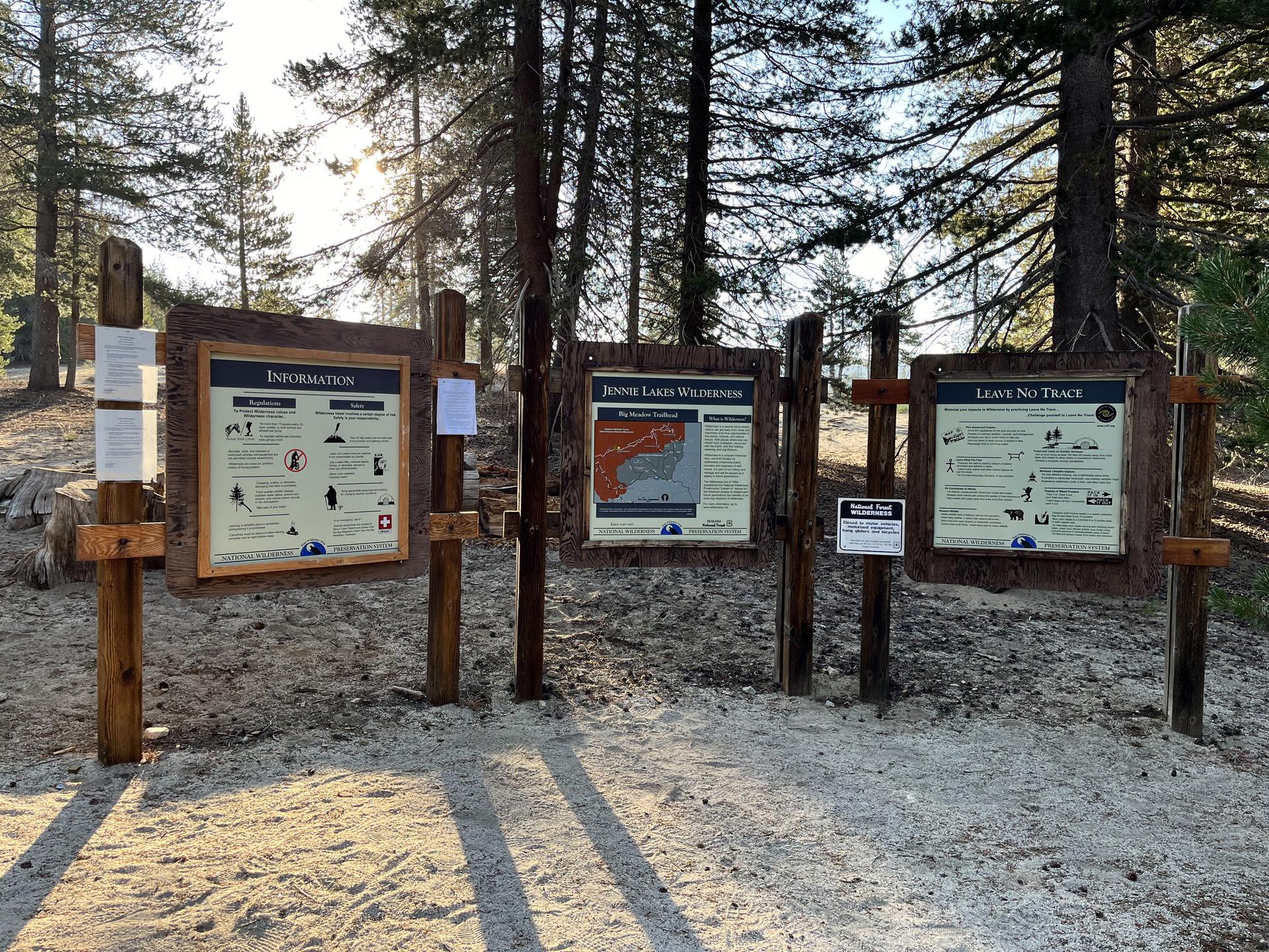 Three wooden information boards stand on a sandy path in a sunlit pine forest.
