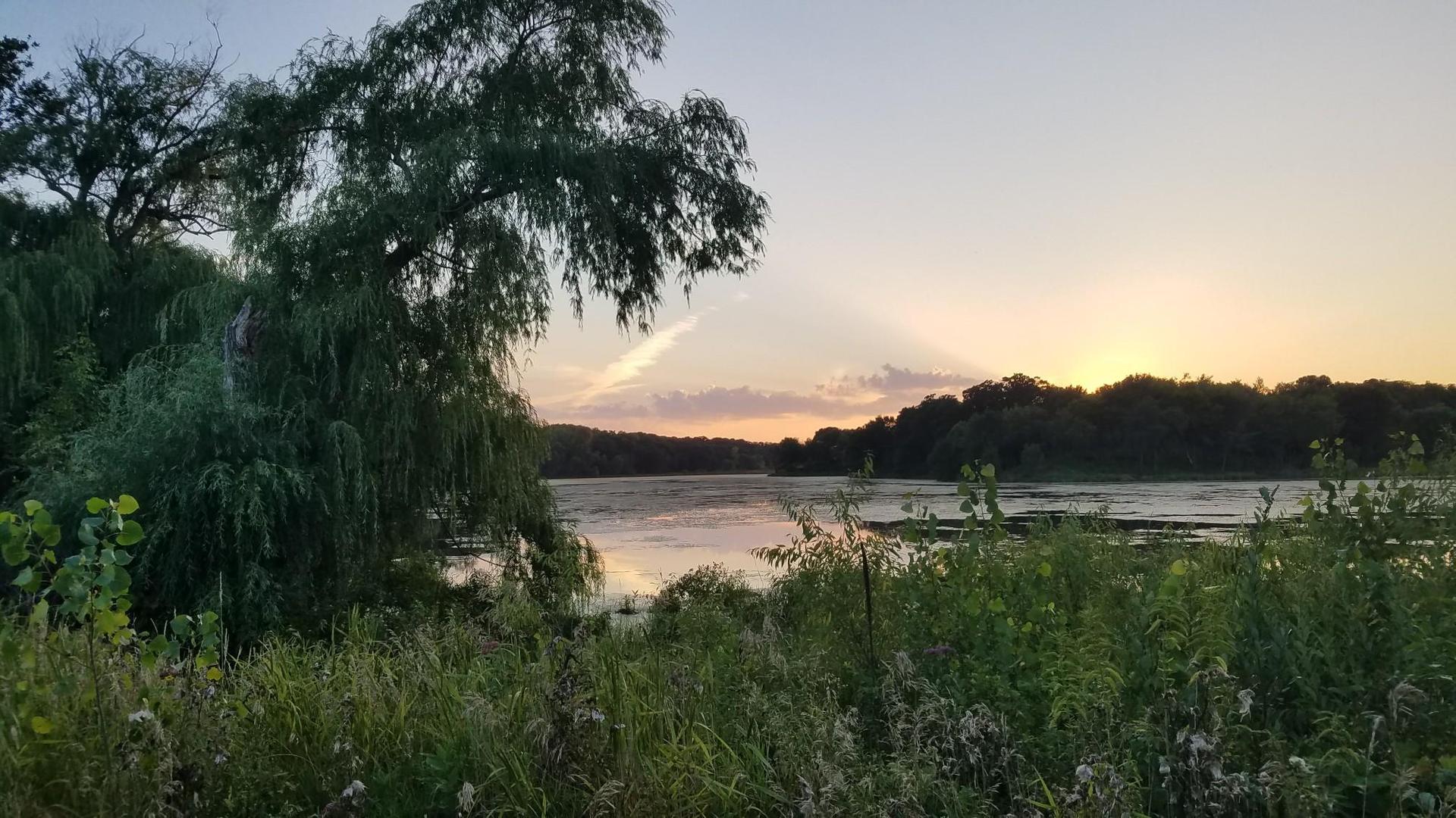 Wide river at sunset, framed by lush green foliage and distant trees.