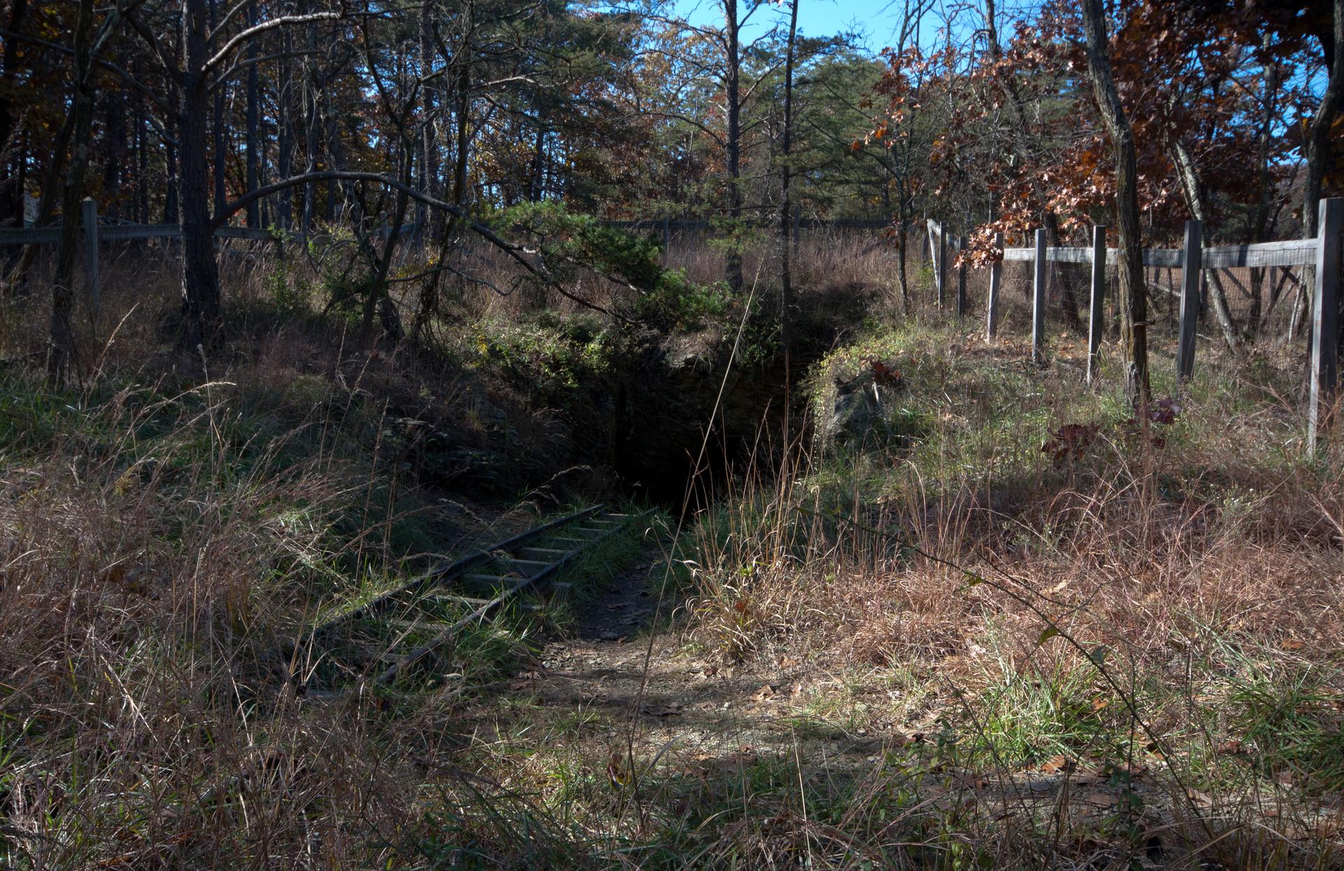Dark opening in dry grassy ground, surrounded by trees and a fence.