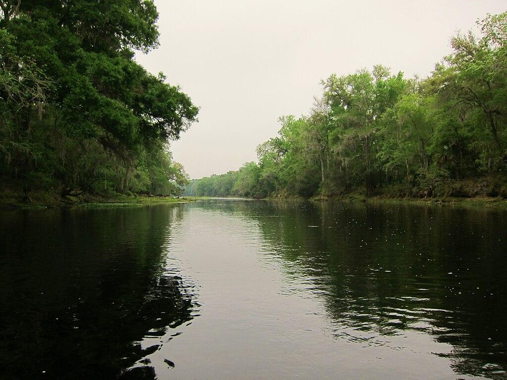 A dark river flows between dense green trees under an overcast sky.