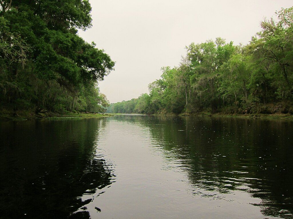 A dark river flows between dense green trees under an overcast sky. - East Multiuse Trail loop