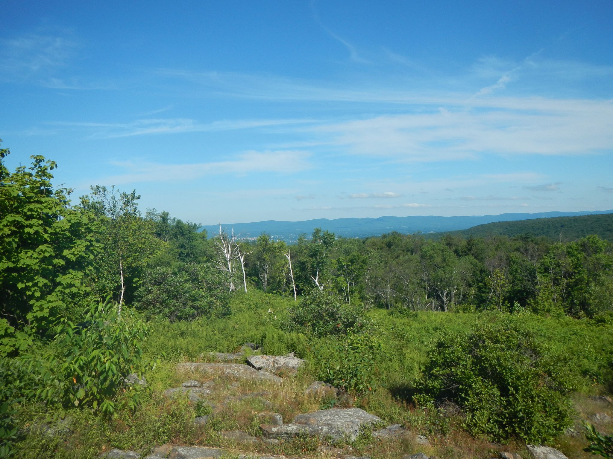 Expansive view of green forests and distant hills under a bright blue sky. - Appalachian Trail: Washington to Dalton