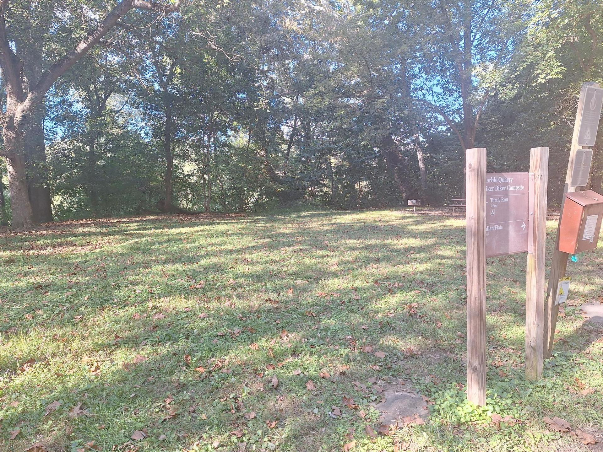Sunny grassy clearing with a wooden signpost surrounded by trees.