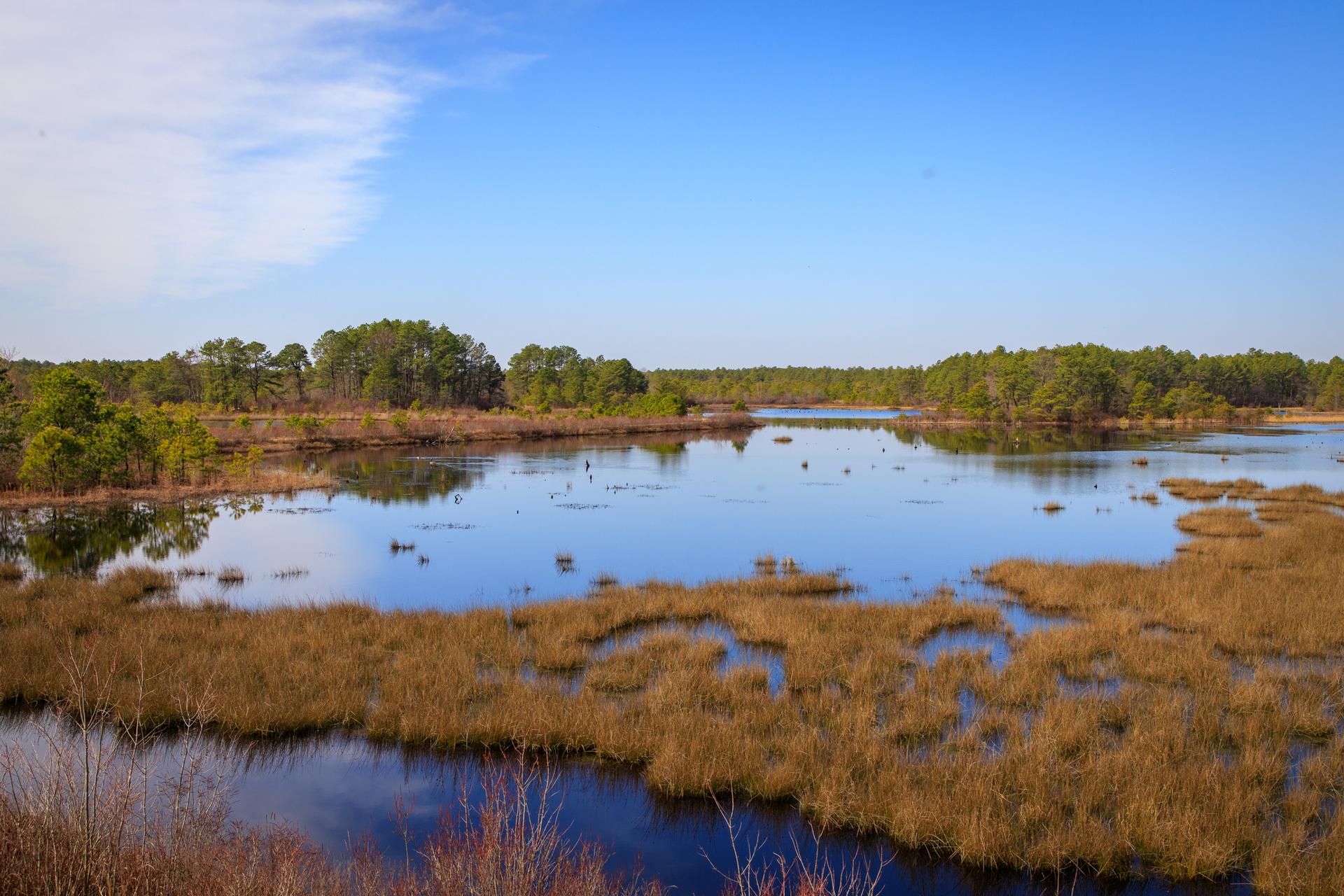 Expansive marshy lake with grassy islands under a bright blue sky.