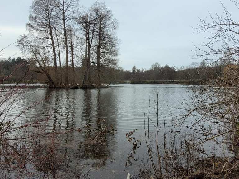 Steinbrücker Teich Wanderungen und Rundwege komoot