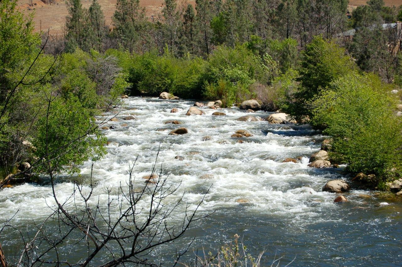 A fast-flowing river with white rapids surrounded by lush green trees and bushes.