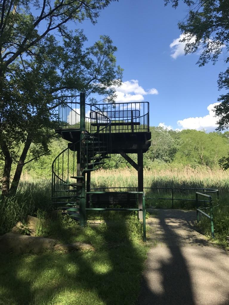 Metal observation deck with spiral stairs overlooking a sunny marshland.