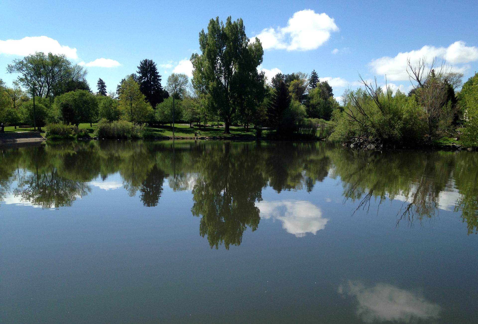 Calm lake reflecting green trees and a bright blue sky with white clouds.