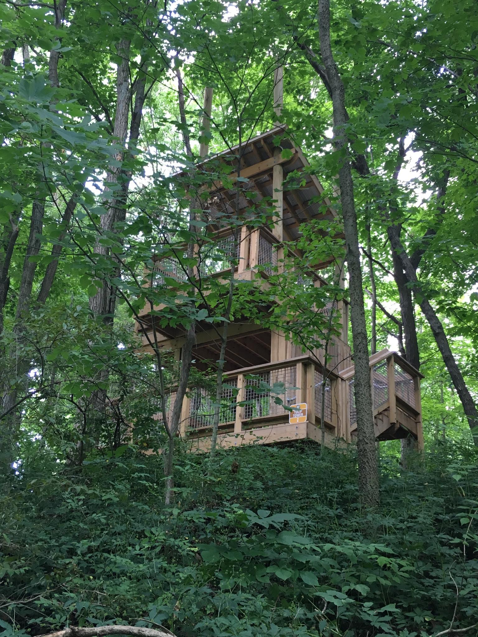 Multi-level wooden treehouse structure surrounded by lush green forest foliage.