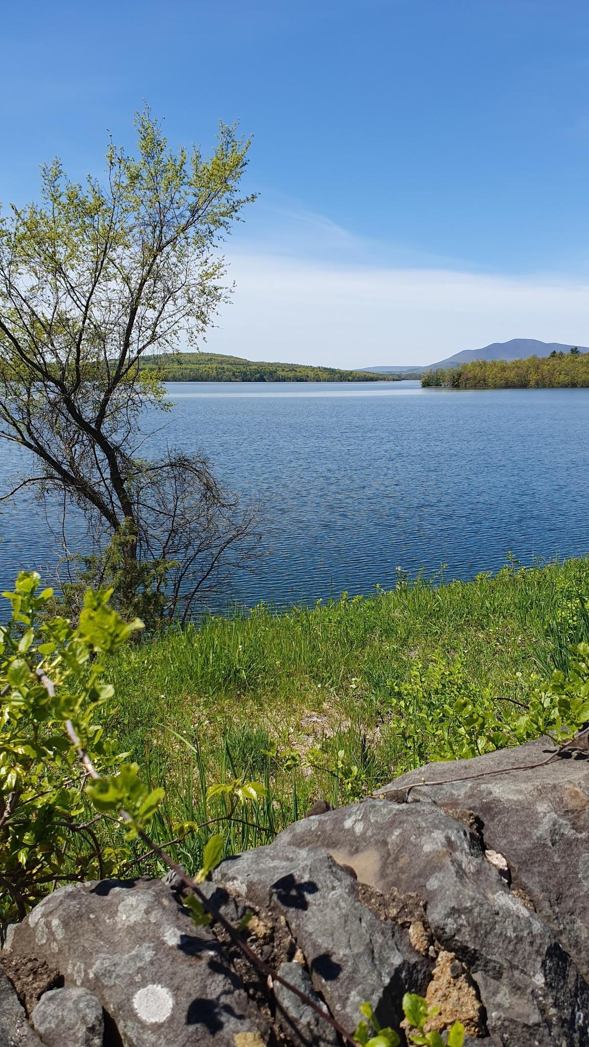 Bright sunny day overlooking a large lake with distant mountains and green trees.