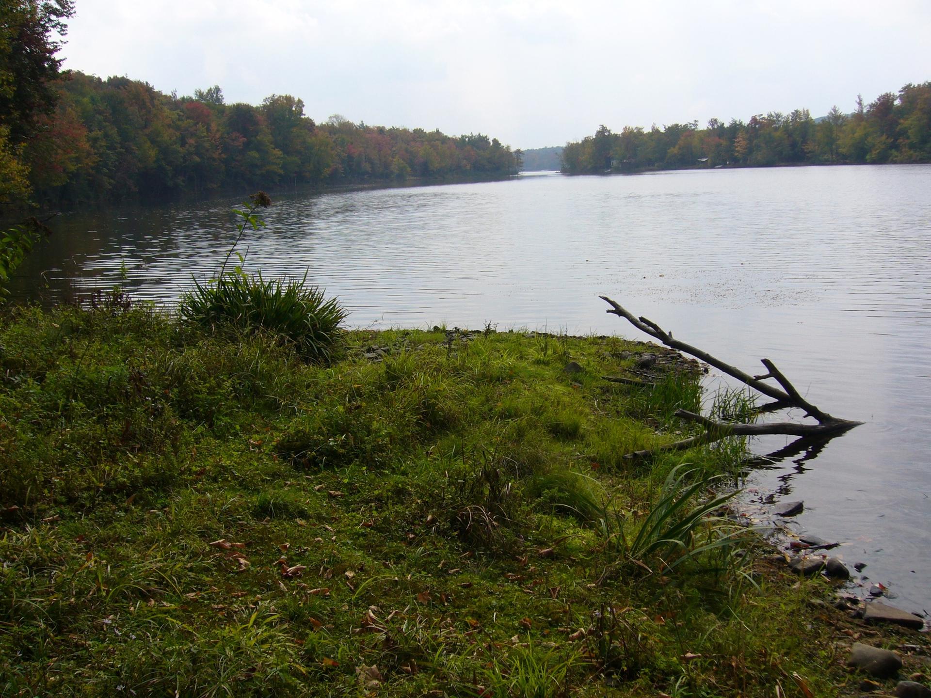 A calm river with a grassy shore and autumn trees under a cloudy sky.
