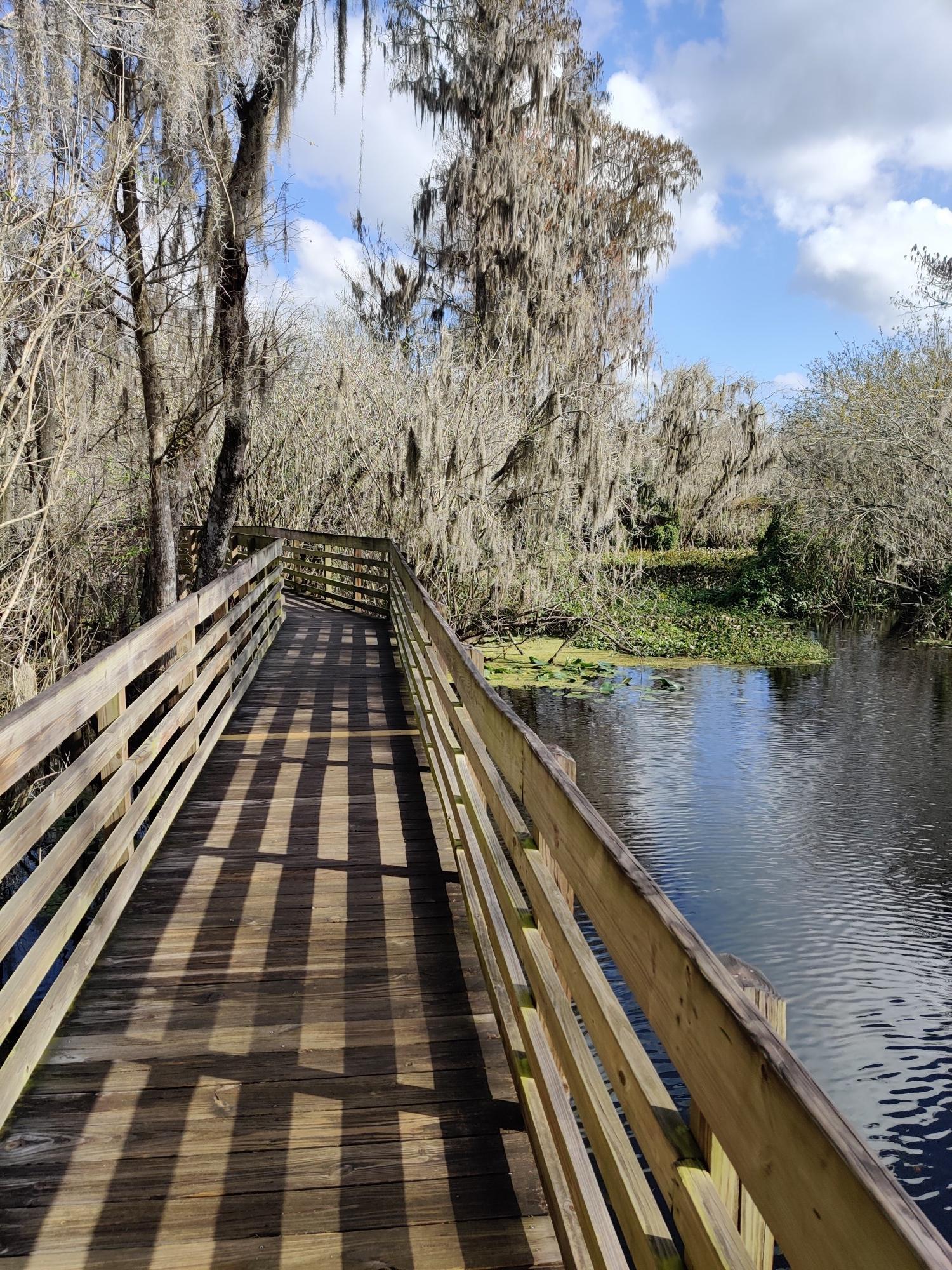 Long wooden boardwalk extending over dark water, surrounded by mossy trees.