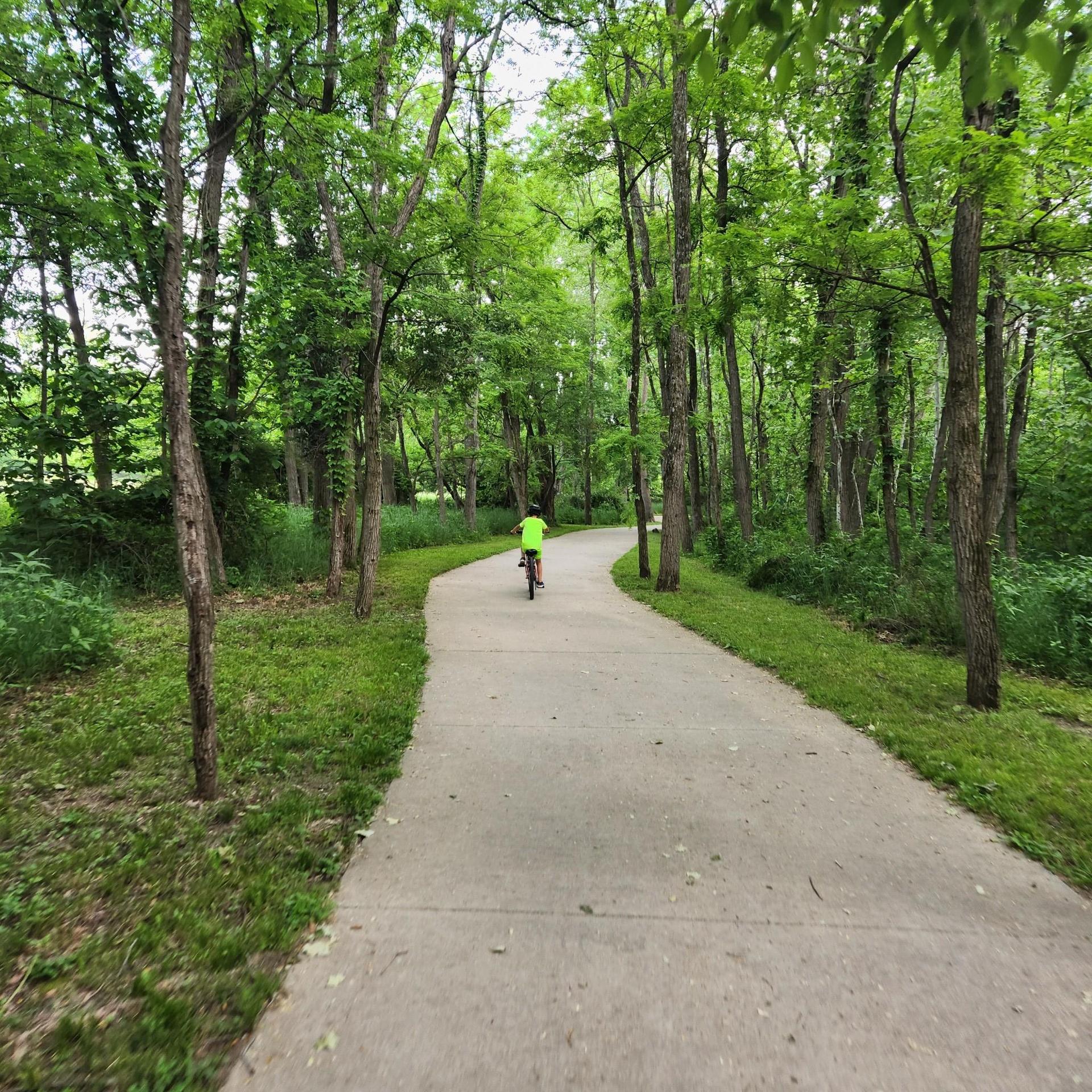 A person cycles on a winding paved path through a bright green forest.