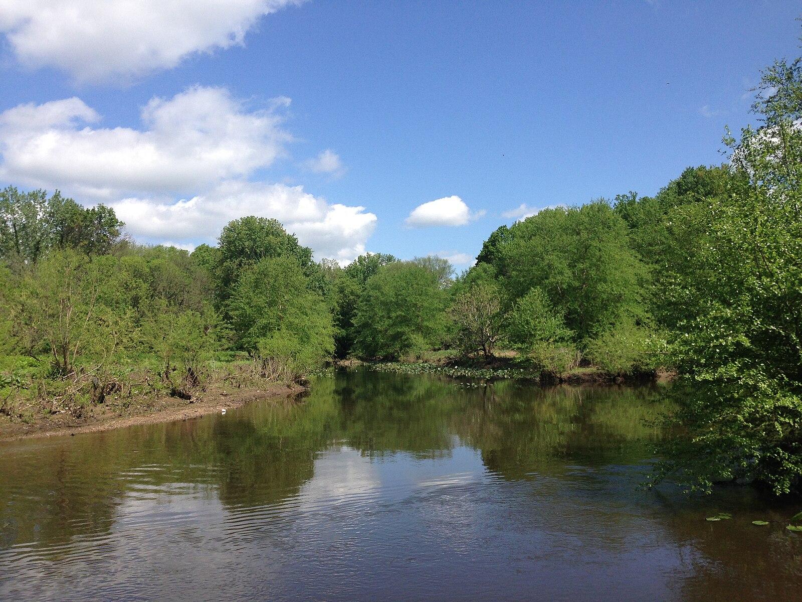 A calm river surrounded by lush green trees under a bright blue sky.