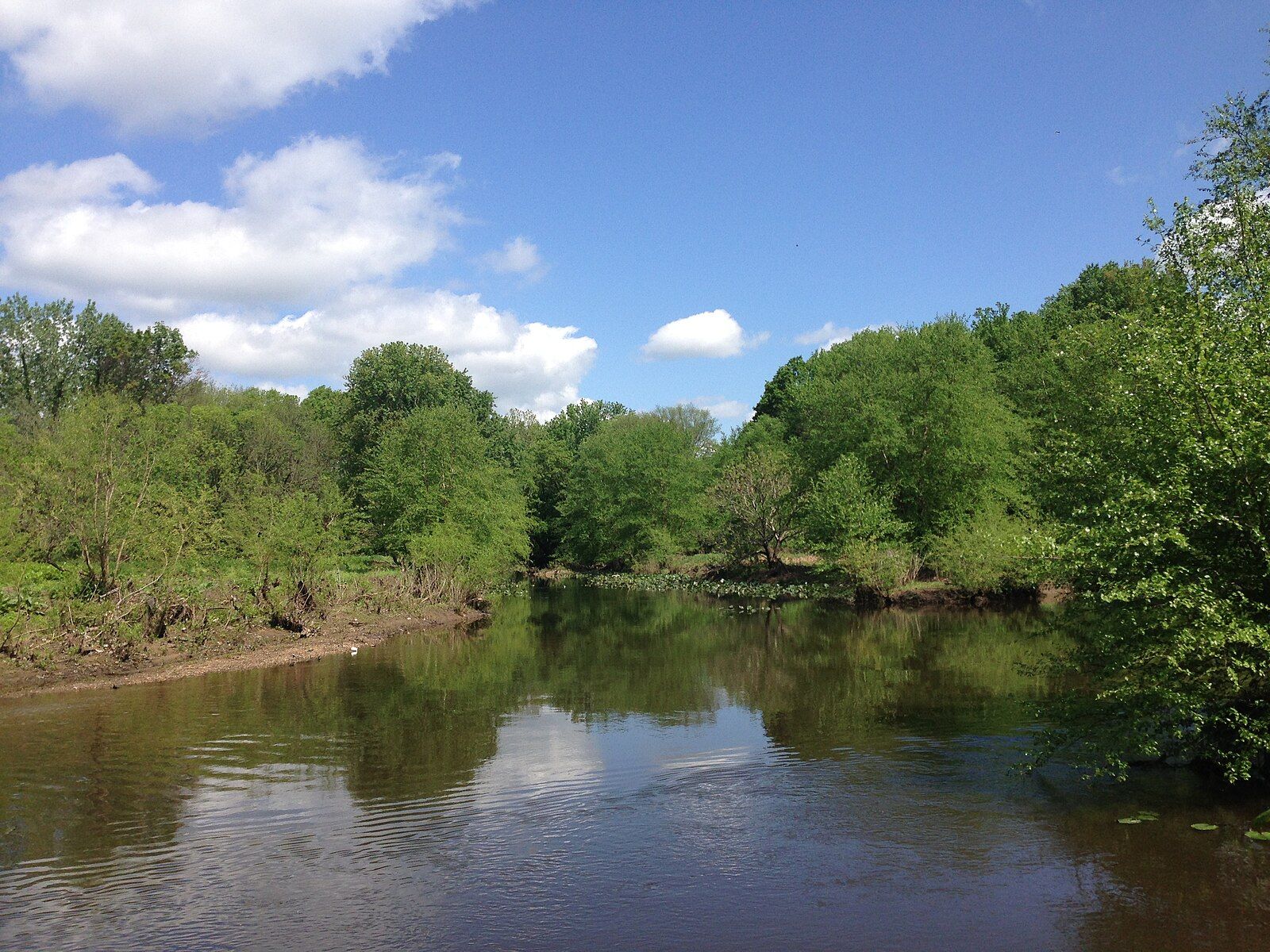 A calm river surrounded by lush green trees under a bright blue sky. - Union Transportation Trail