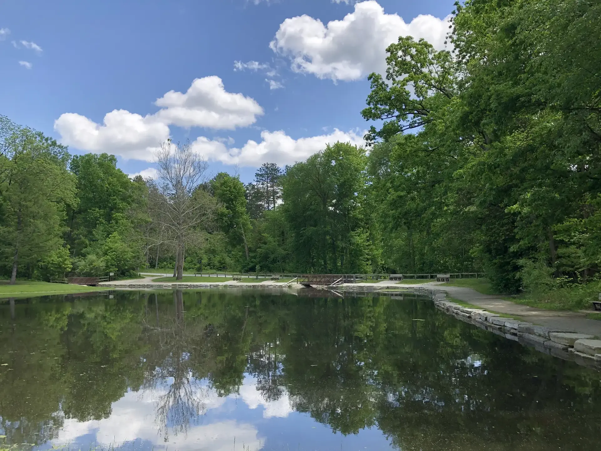 A calm pond reflects a bright blue sky with white clouds and green trees.