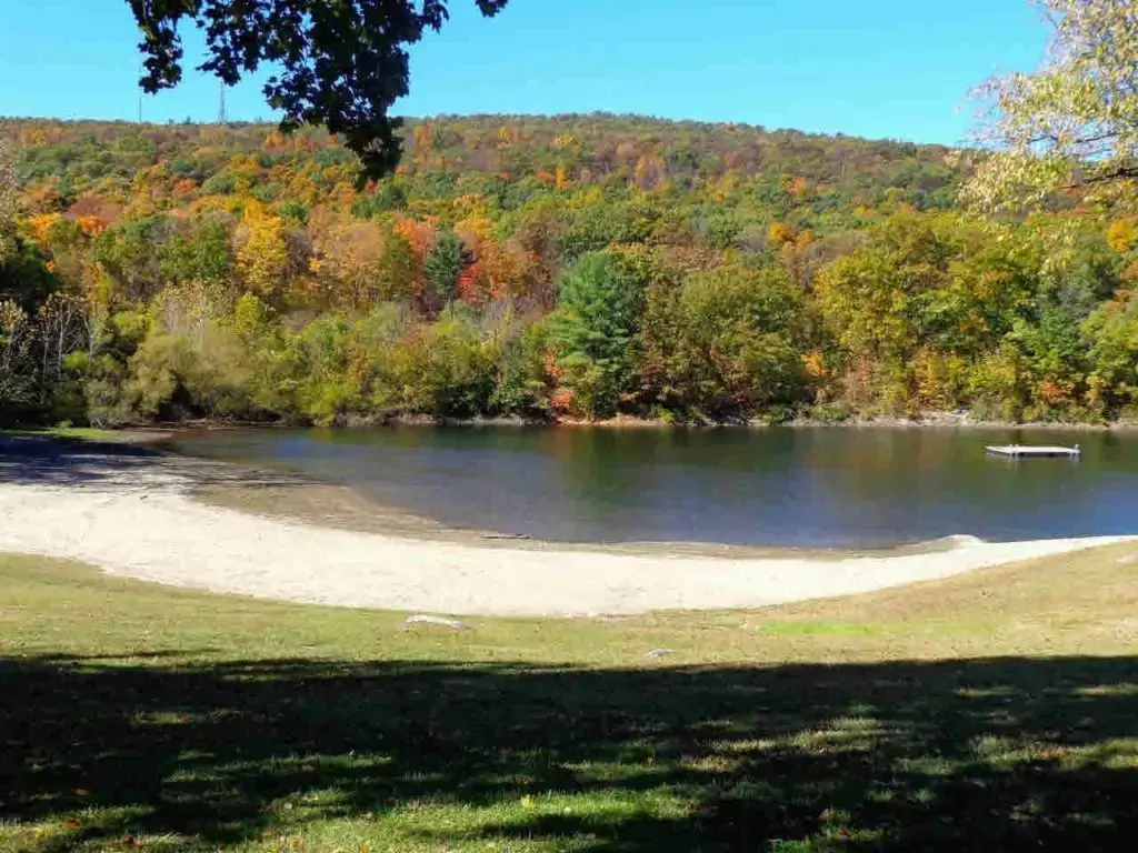 A serene lake with a sandy shore and vibrant autumn trees under a clear blue sky.