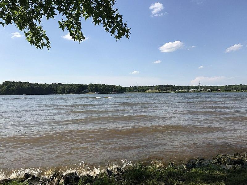 Wide river scene under a sunny sky, with distant tree-lined shores and overhanging leaves.