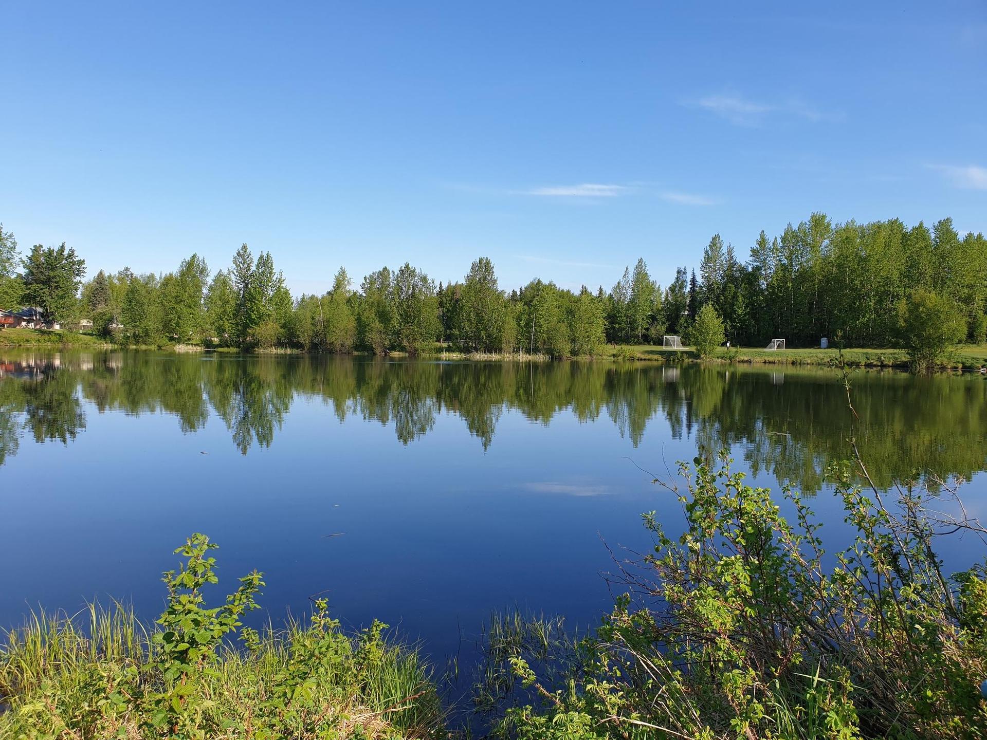 Calm lake reflecting green trees under a clear blue sky on a sunny day.
