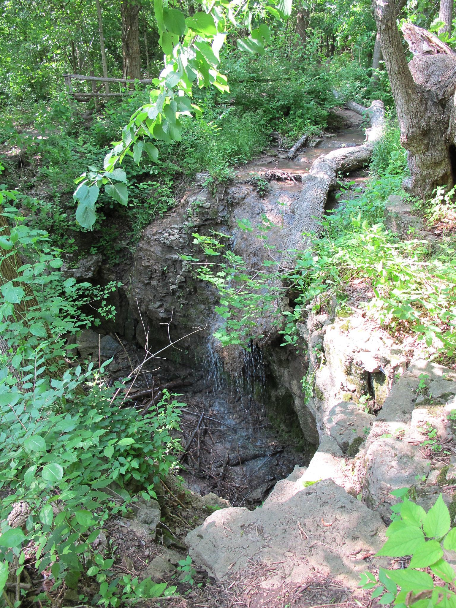 Small stream flows over rocks into a dark crevice in a lush green forest.