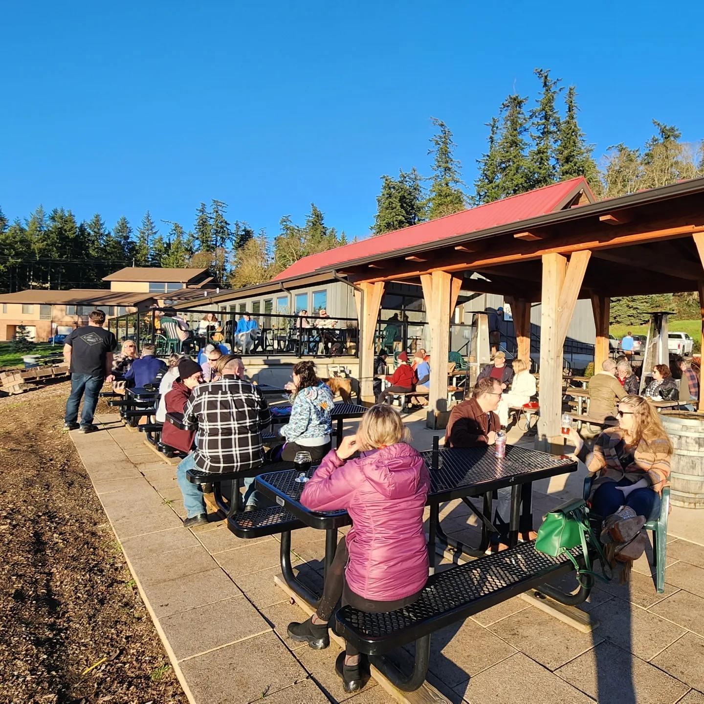 People socializing at outdoor picnic tables on a sunny day with trees and buildings.