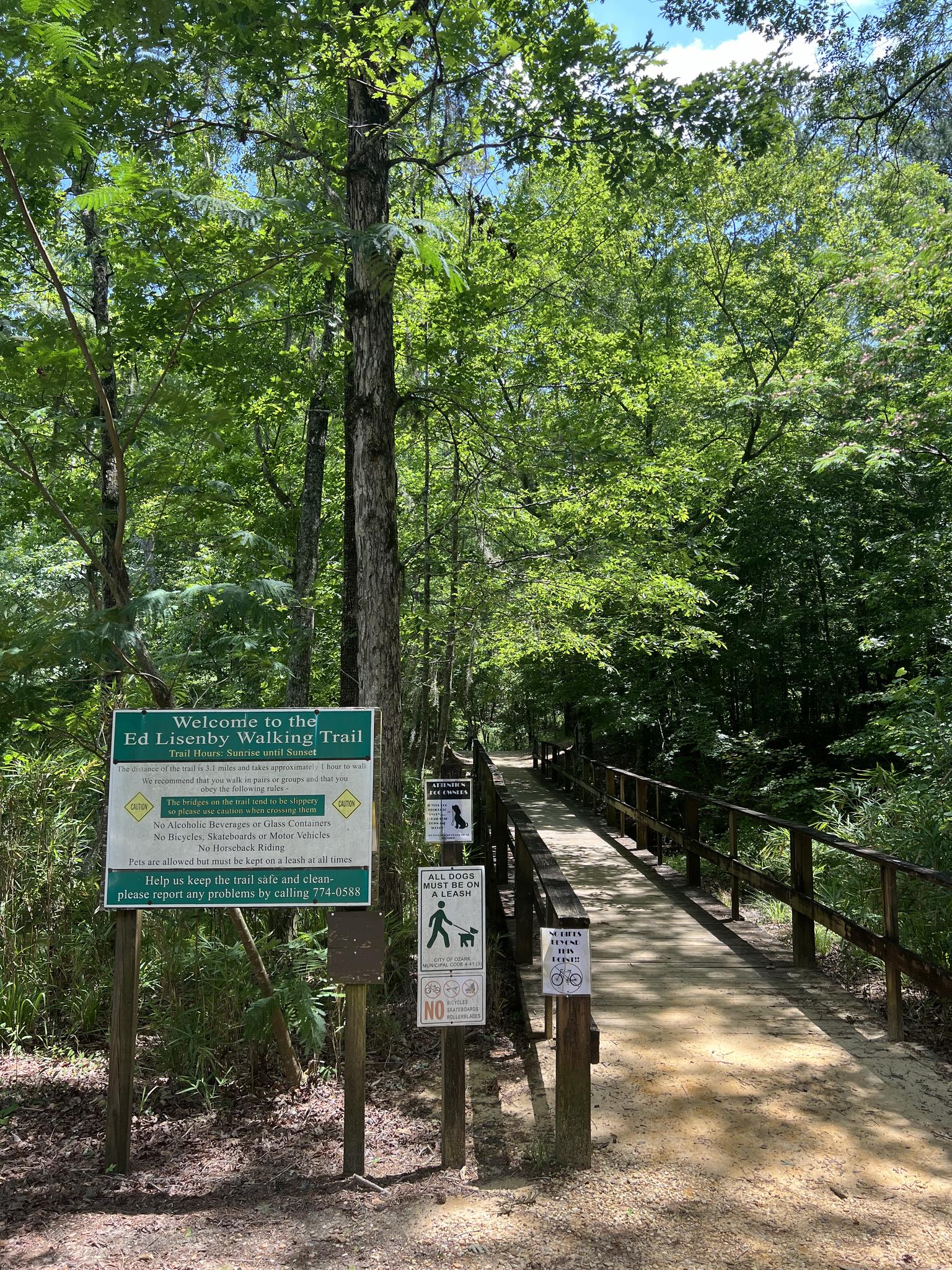 Trailhead signs next to a wooden boardwalk leading into a sunny forest.
