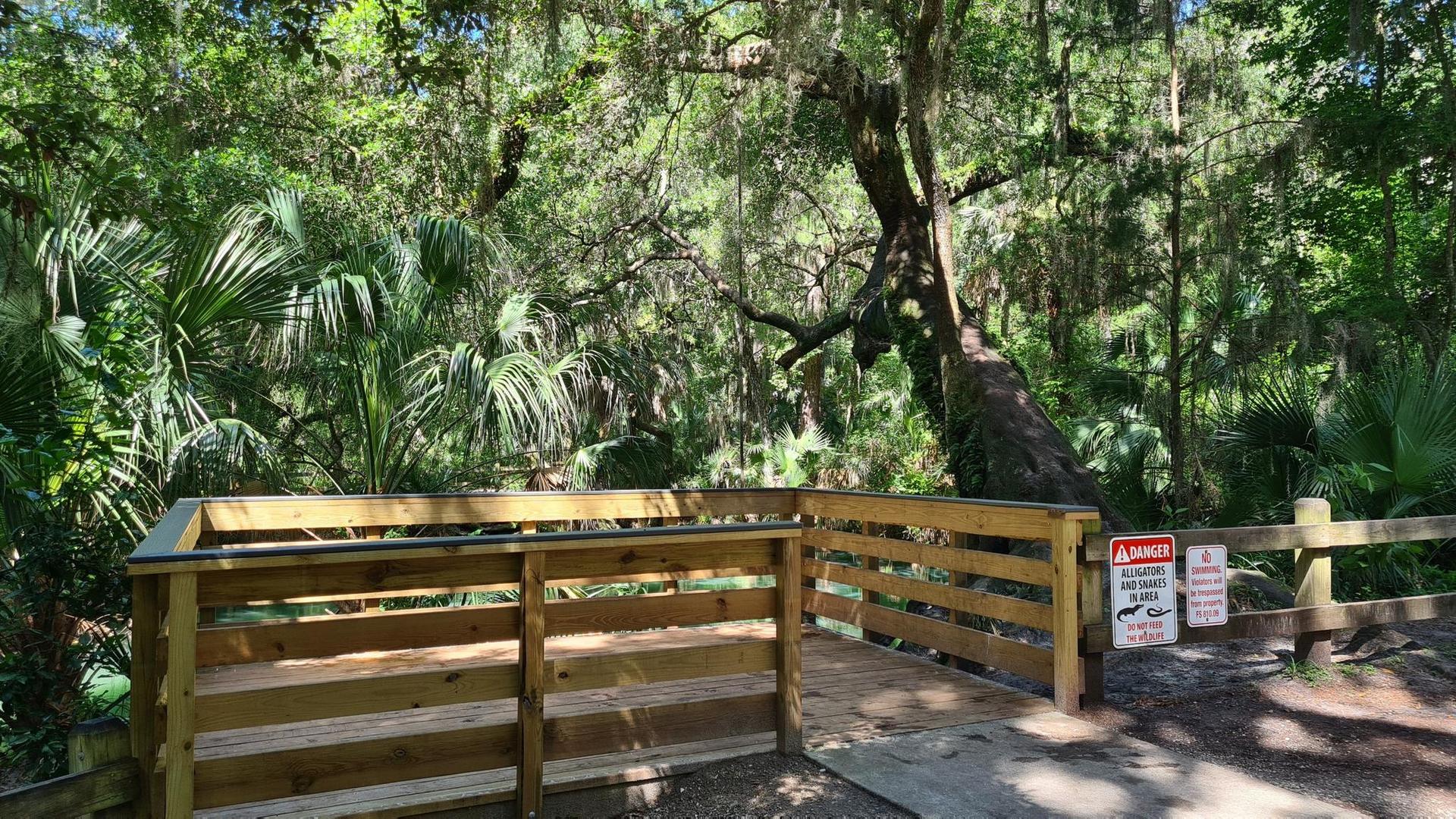 Wooden fence and warning signs in a dense, green, sun-dappled forest.