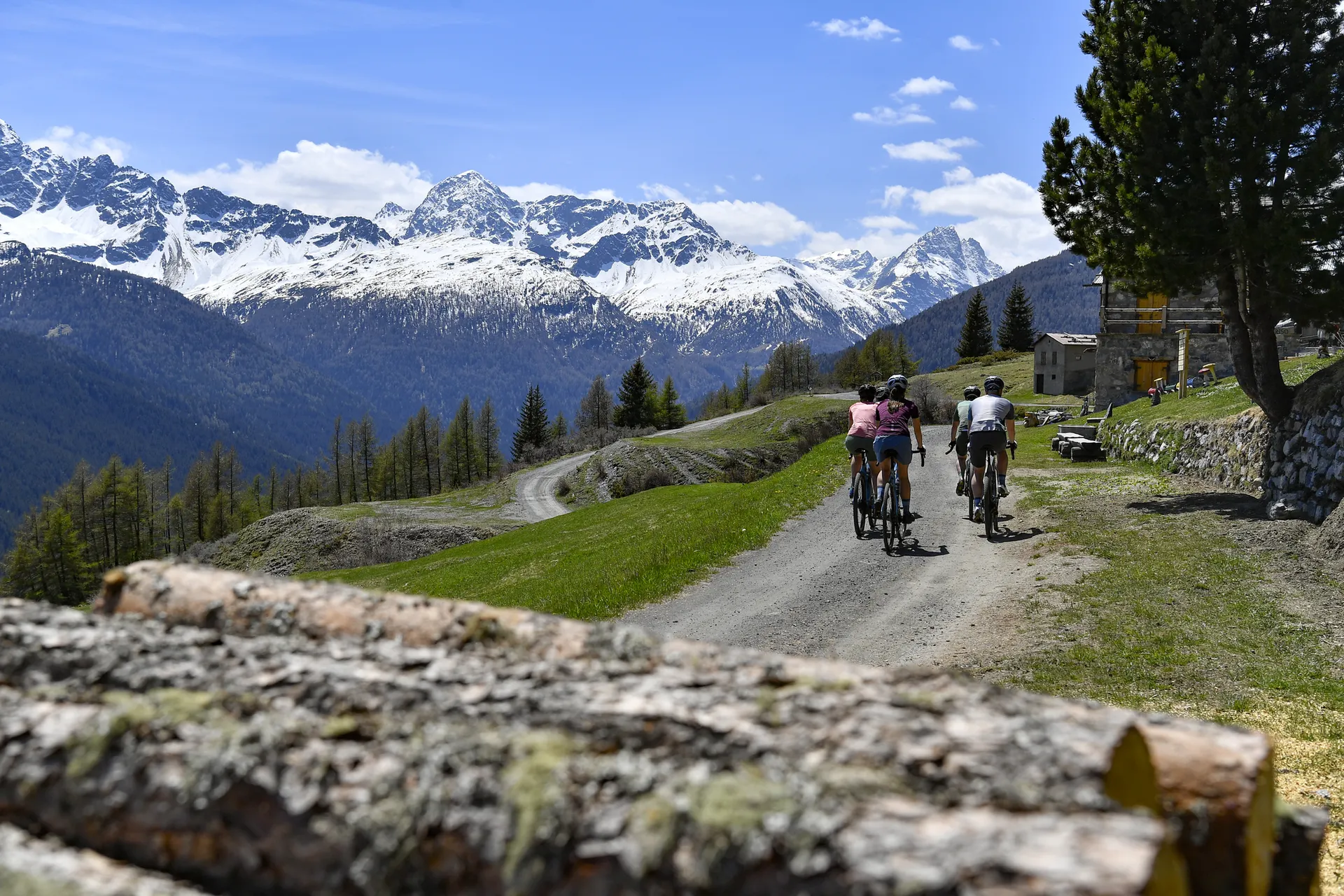 Rough and tough – spectacular gravel loops in the Alps | Cycling ...