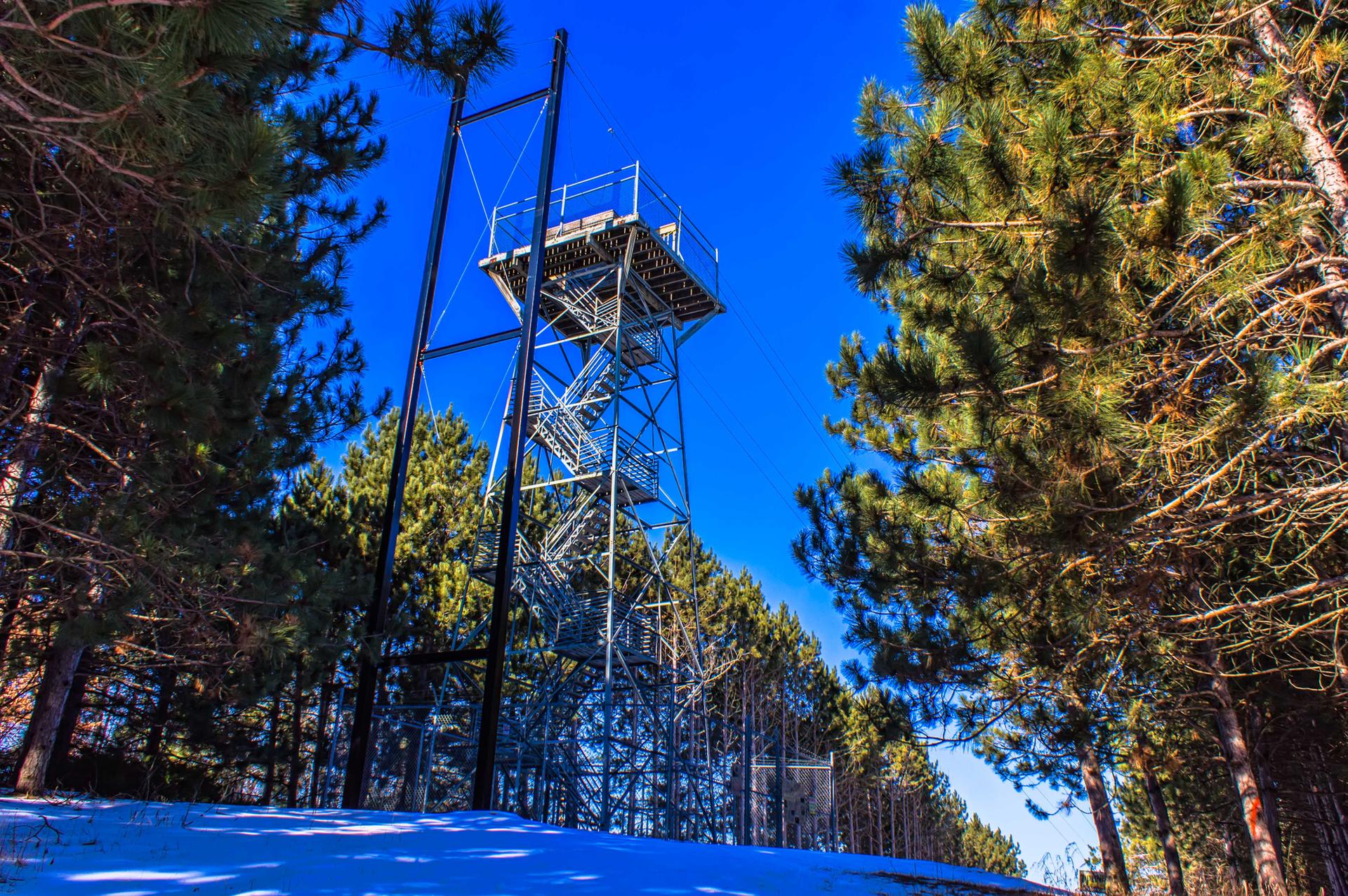 Tall metal observation tower surrounded by pine trees under a clear blue sky.