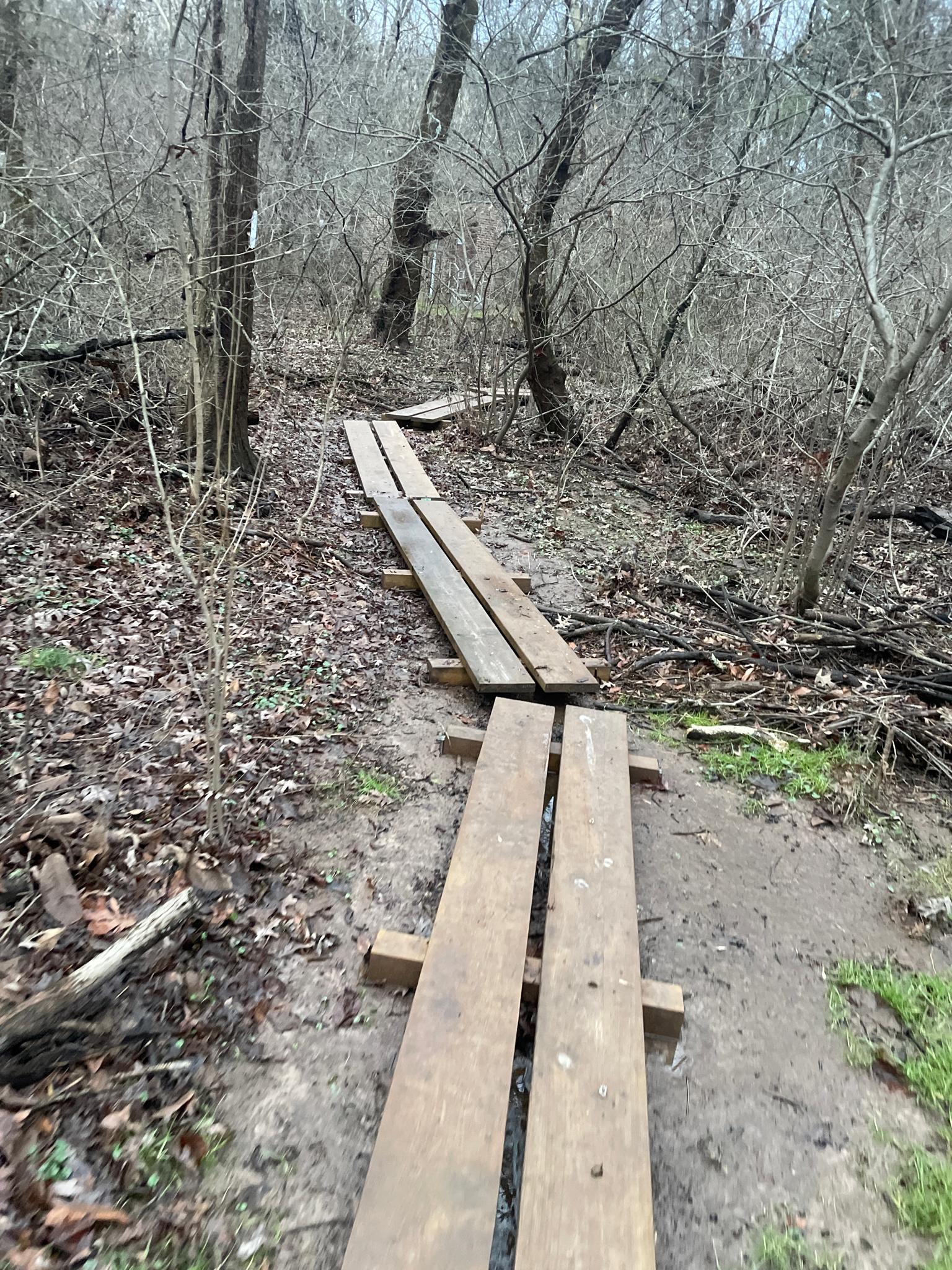 Wooden planks form a muddy path through a bare winter forest.