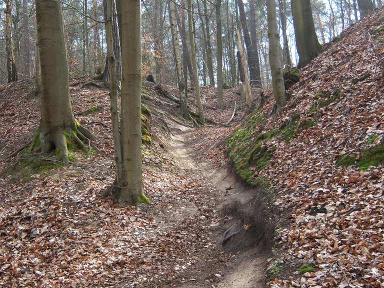 Diebsteig MountainbikeTouren komoot