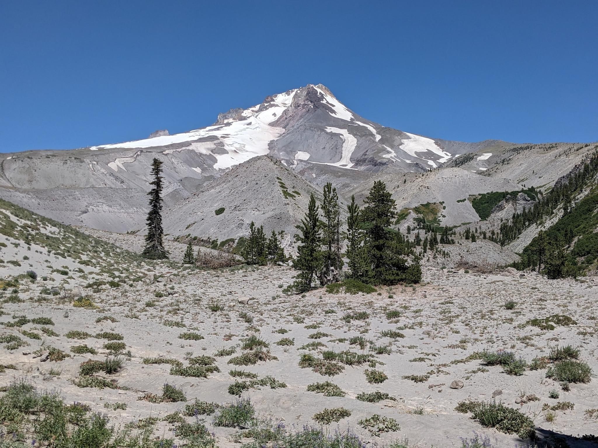 Bright, sunny view of a snow-capped mountain over a rocky, barren landscape. - White River Trail