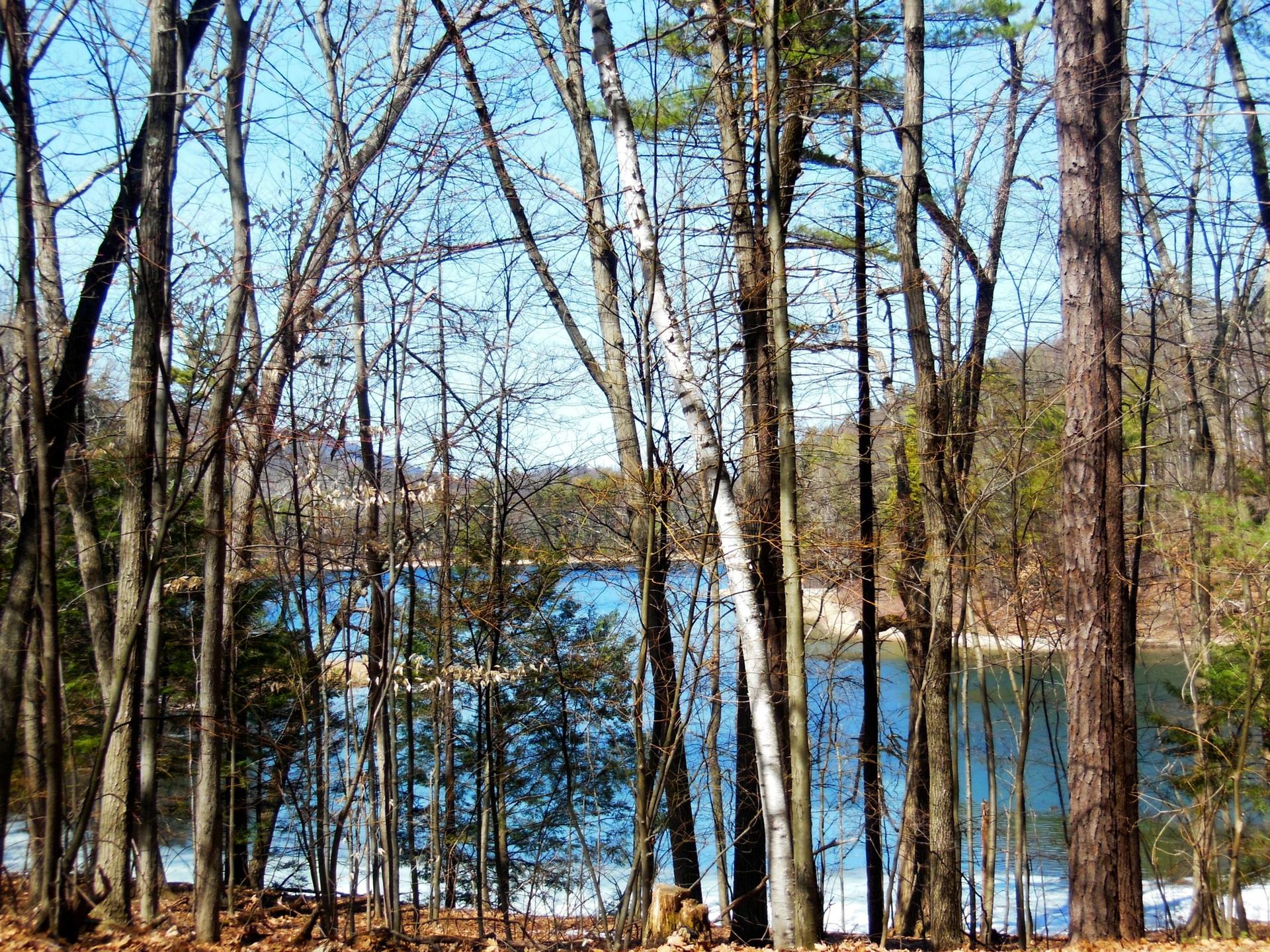 Bare trees frame a bright blue lake under a clear sky.