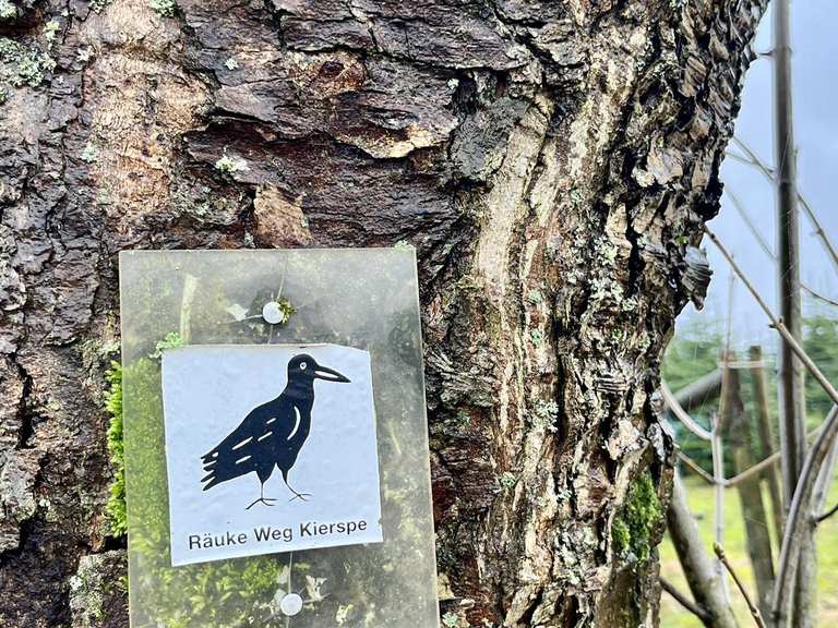 Wanderparkplatz Elbringhausen Wanderungen und Rundwege komoot