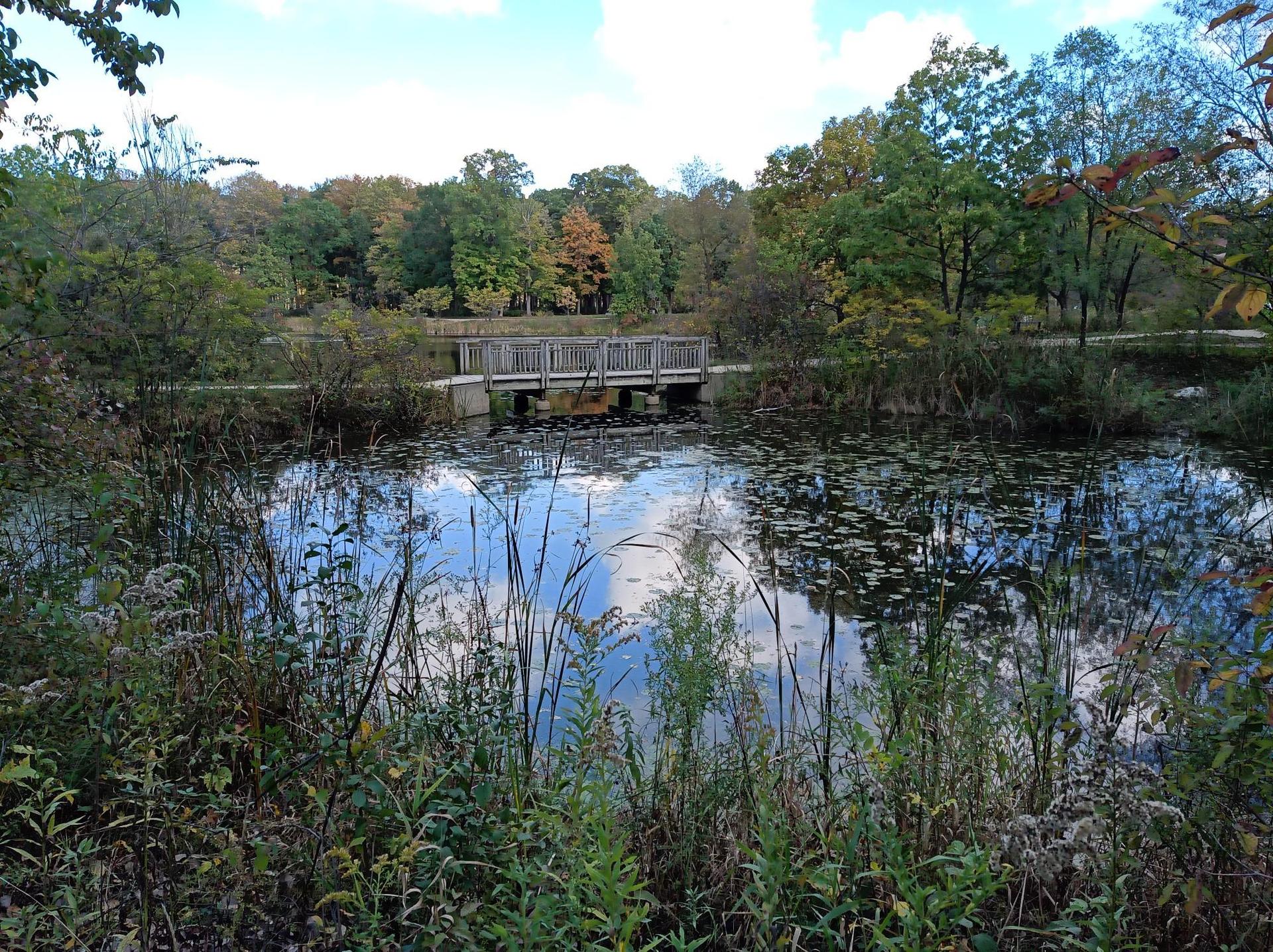 A wooden bridge crosses a reflective pond surrounded by colorful autumn trees.