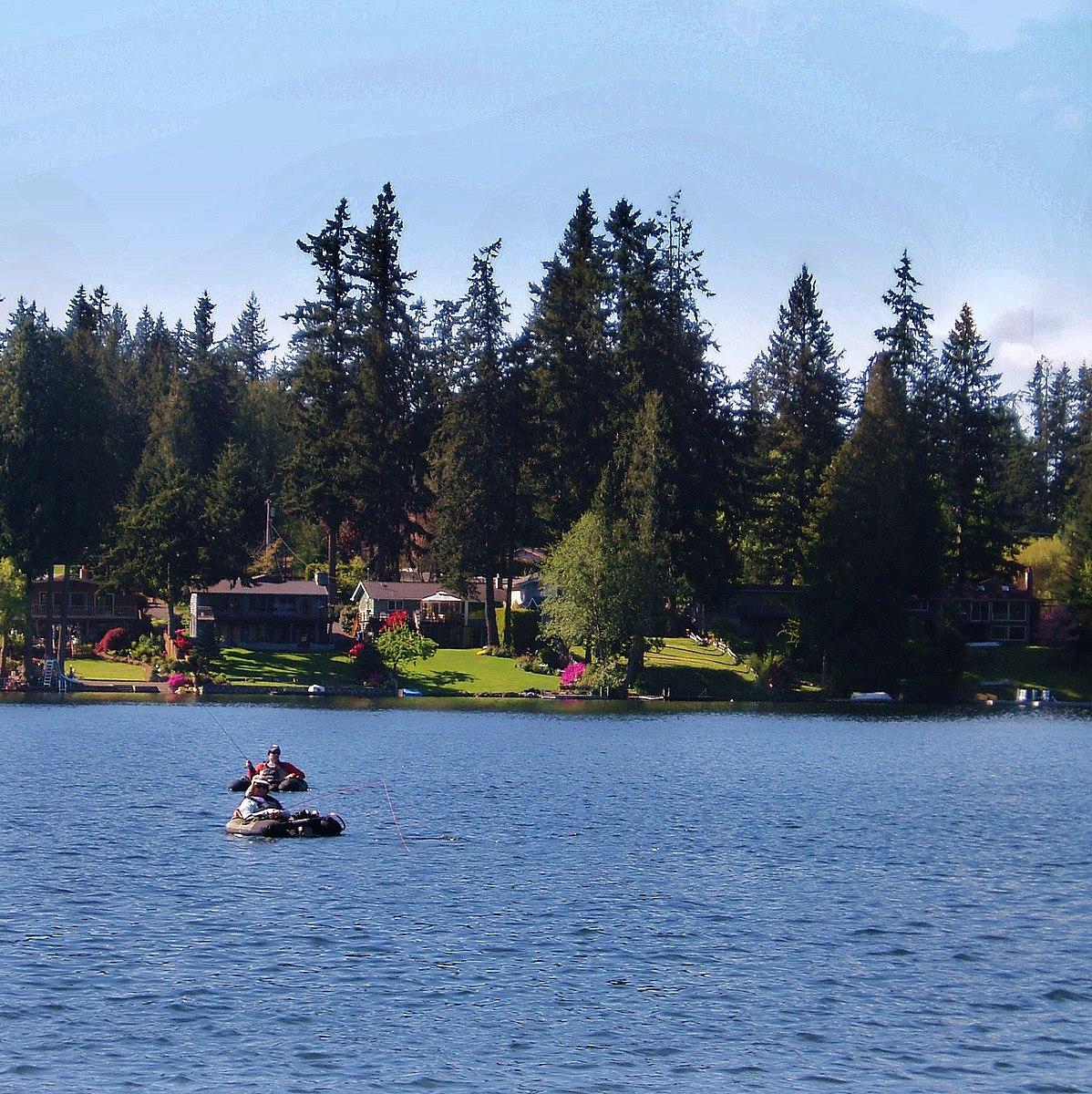 Sunny lake scene with people on inflatables, houses, and dense forest.