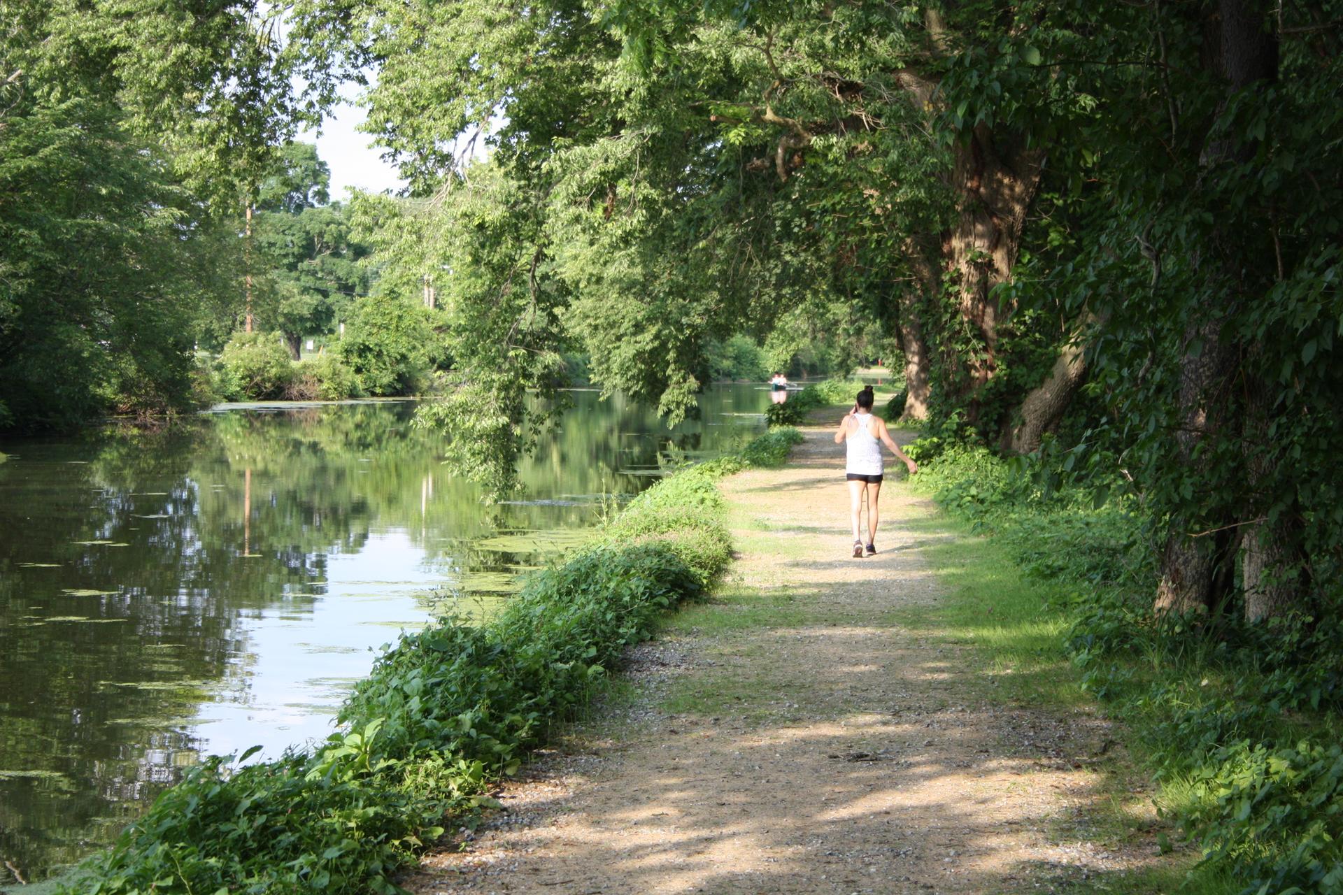 A person walks on a sunny path next to a calm canal with lush green trees.