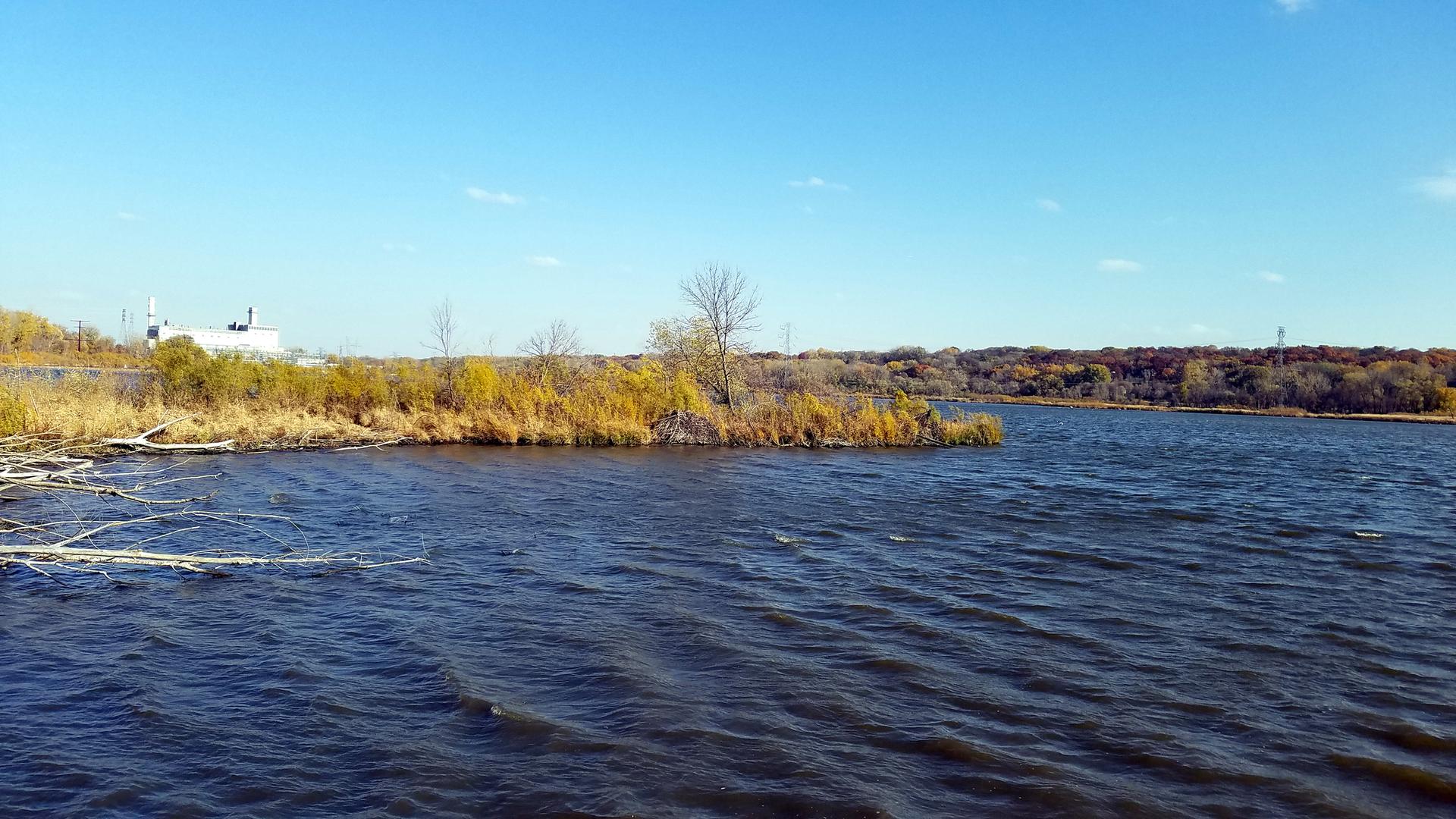 Wavy dark blue water next to a grassy shore under a clear blue sky.