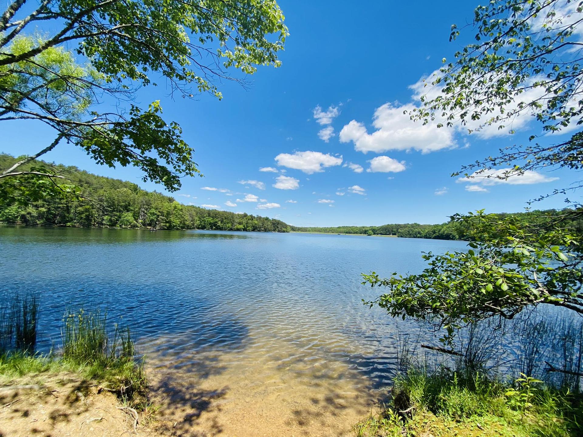 A wide, calm lake surrounded by green forests under a bright blue sky.