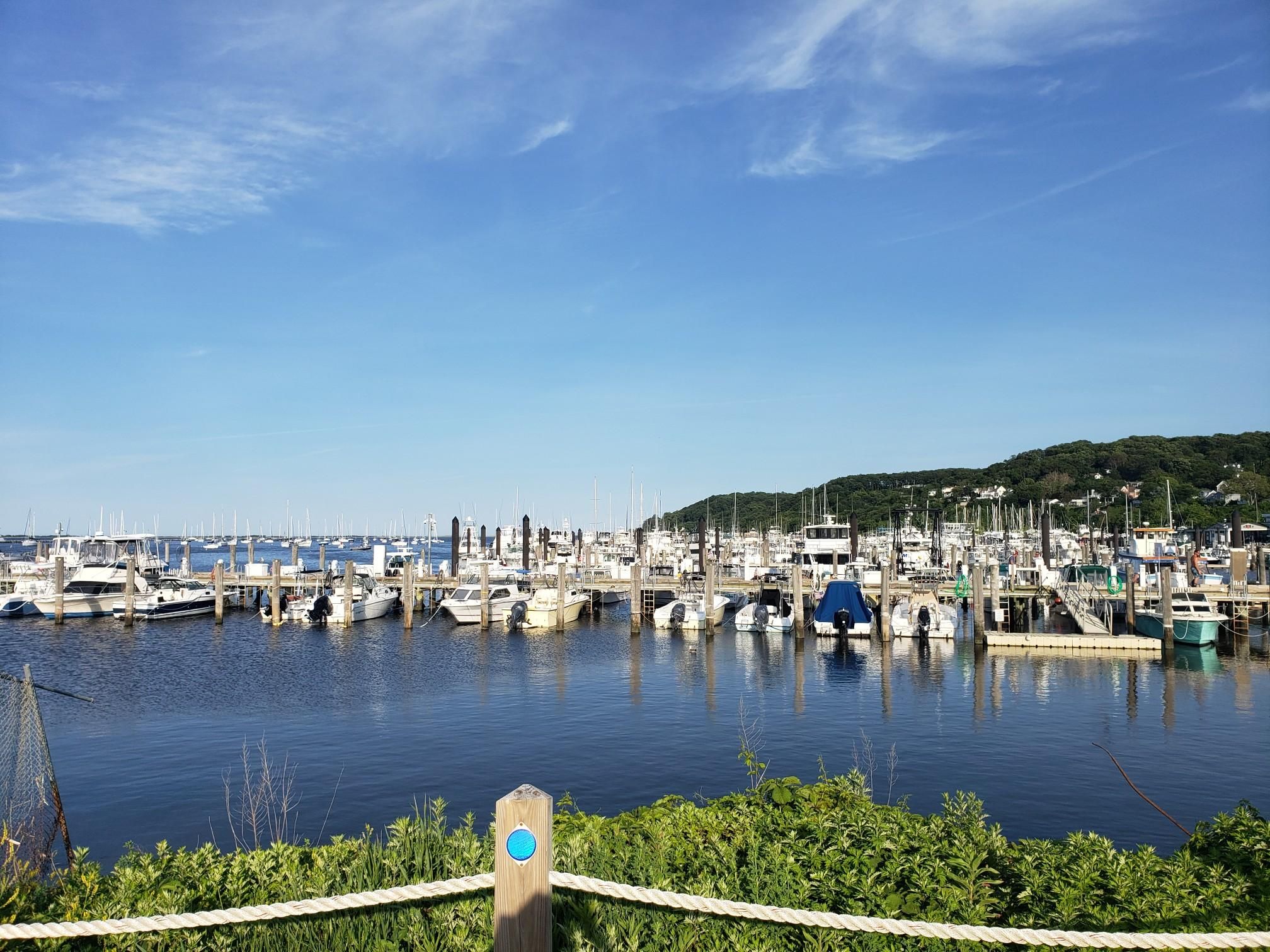 Sunny view of a busy marina filled with boats on blue water. - Little Silver to Atlantic Highlands loop via Edgar Felix Bike Path